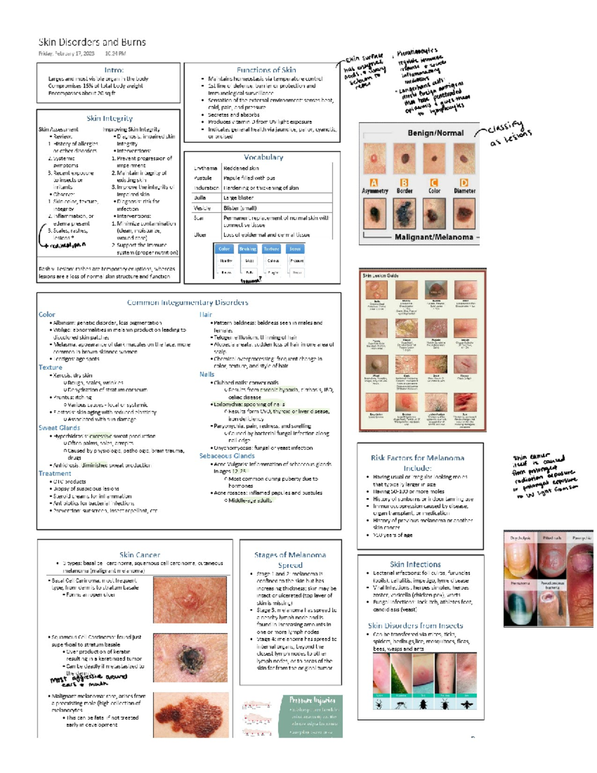 Skin Disorders and Burns - HS 400 - Studocu