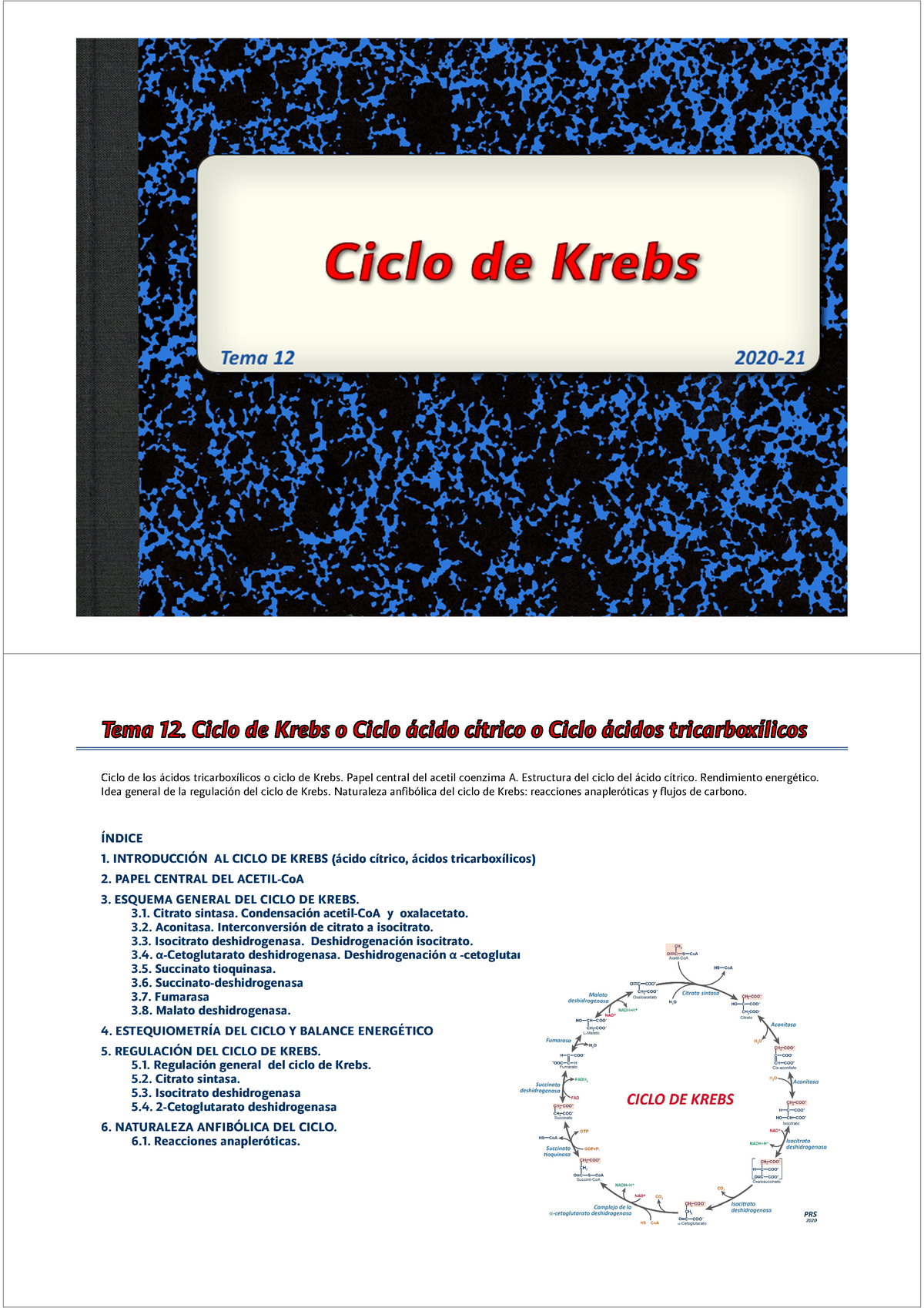 Tema 12 - Ciclo De Krebs - Ciclo De Los ácidos Tricarboxílicos O Ciclo ...