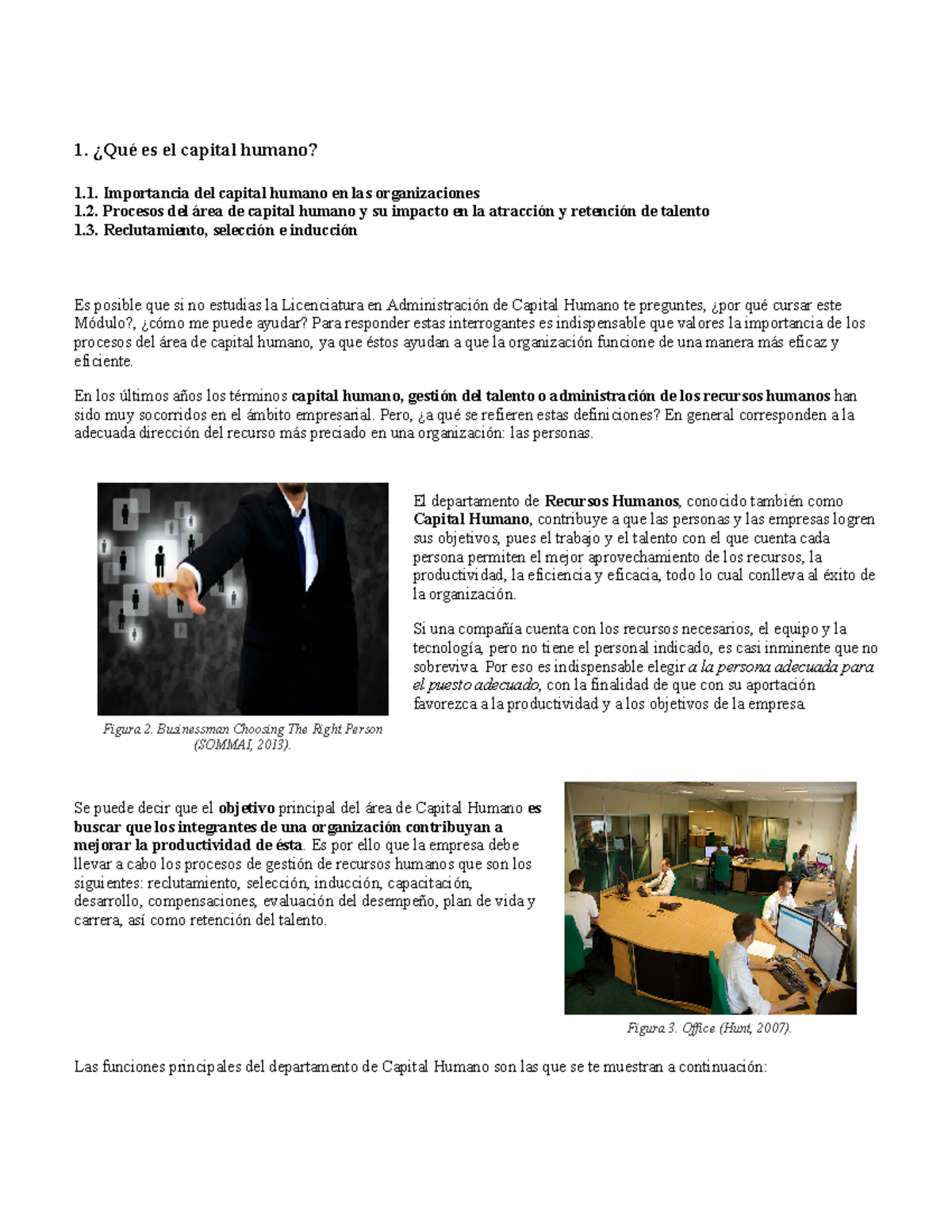 Que es el capital humano - Gestión del capital humano - Figura 2