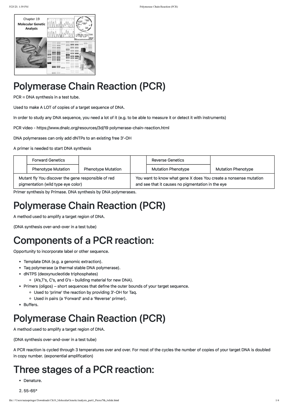 Polymerase Chain Reaction (PCR) - Used to make A LOT of copies of a ...