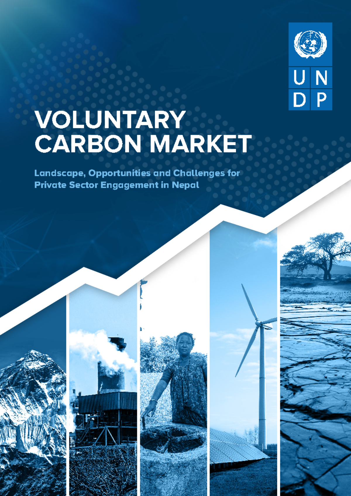 UNDP - Voluntary Carbon Market (VCM) Report - 05 - Landscape ...