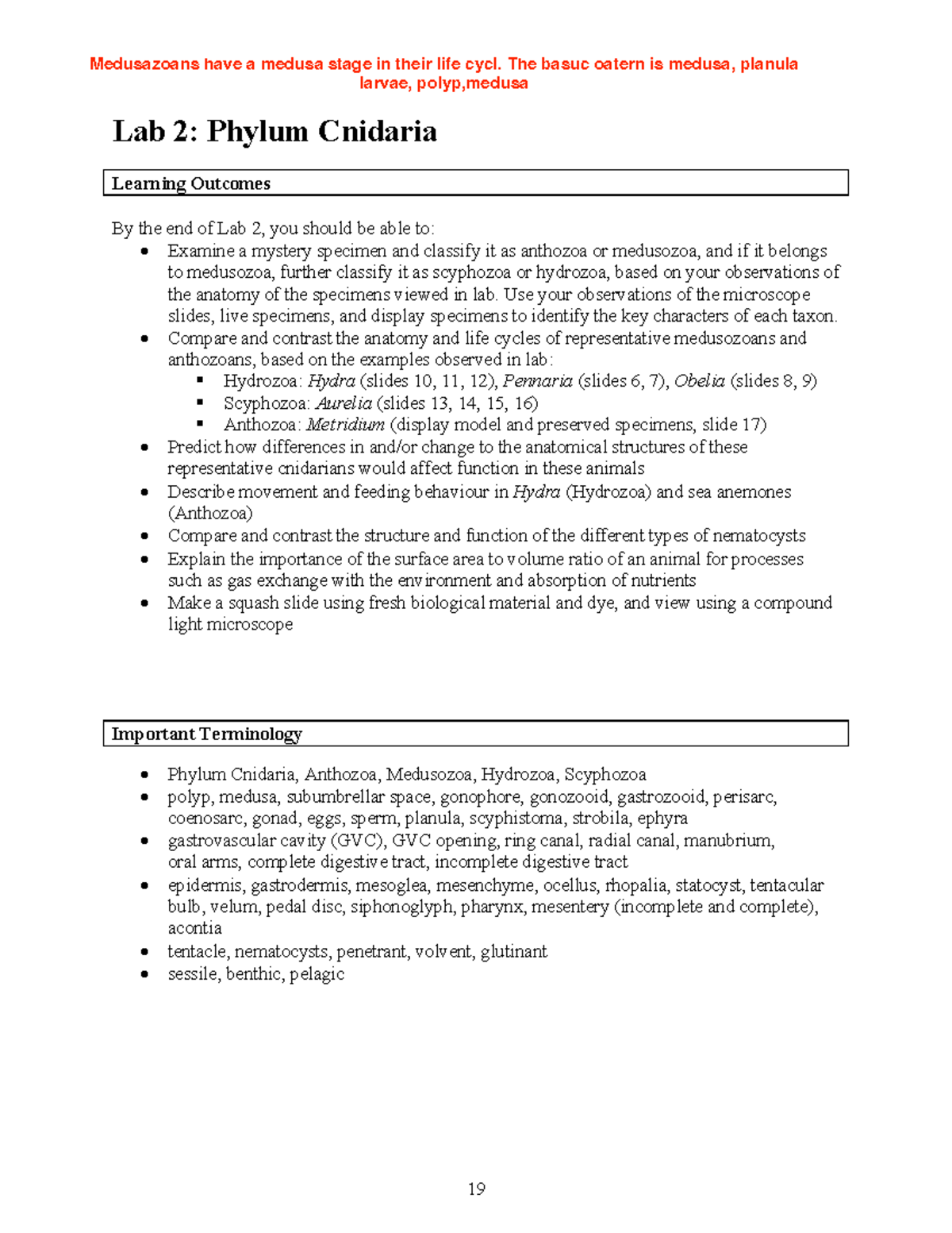 Lab Manual 2022 Lab 2 Cnidaria-1 - Lab 2: Phylum Cnidaria Learning ...