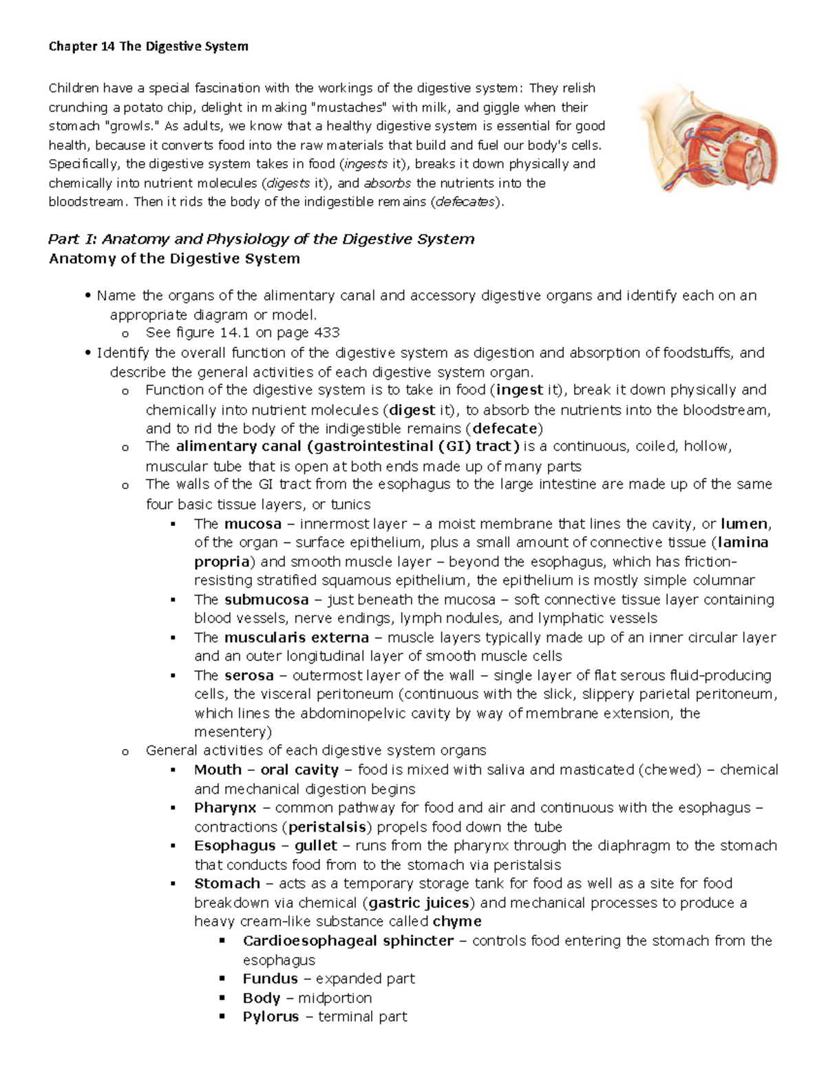 Chapter 14 The Digestive System - Chapter 14 The Digestive System ...