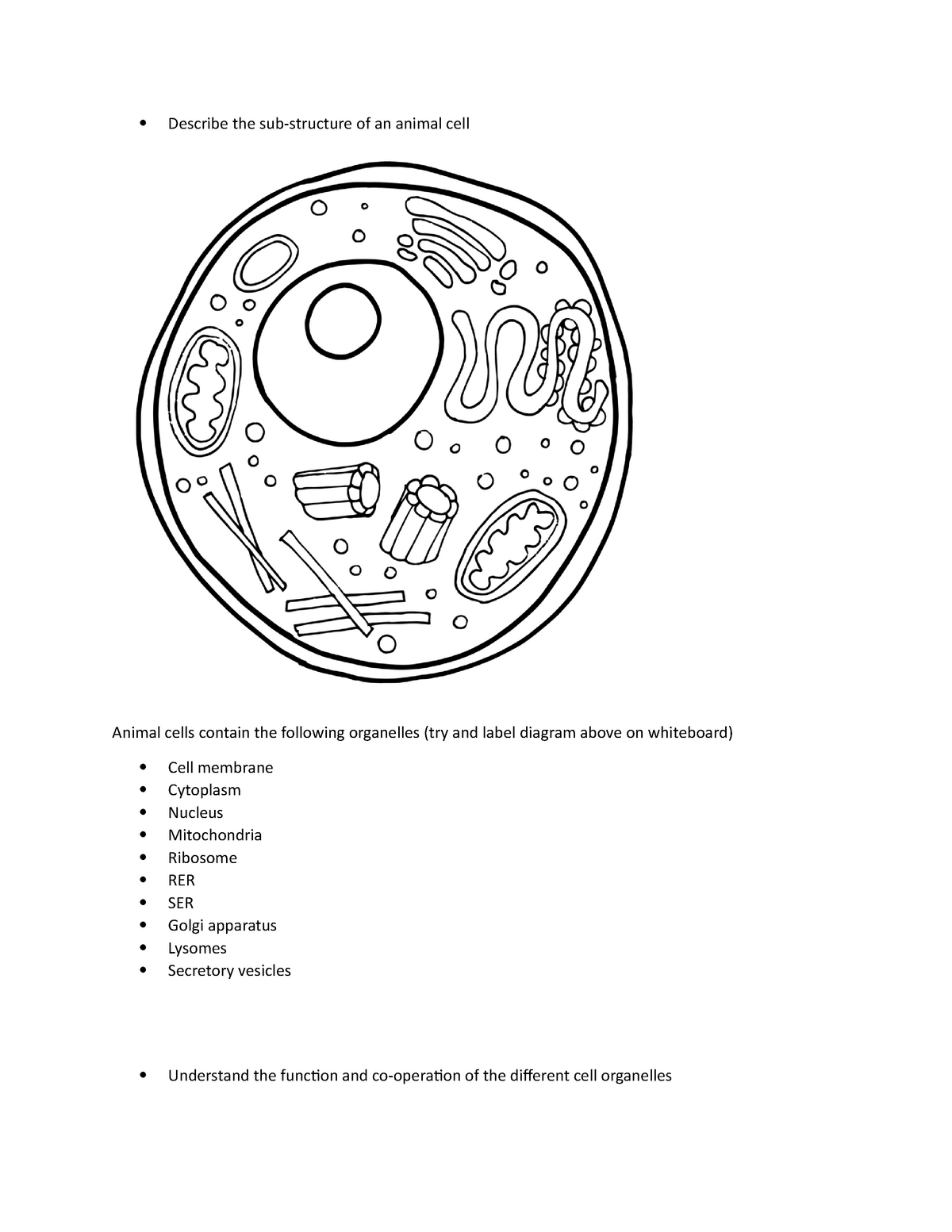 Notes on cellular organelles -  Describe the sub-structure of an animal  cell Animal cells contain - Studocu
