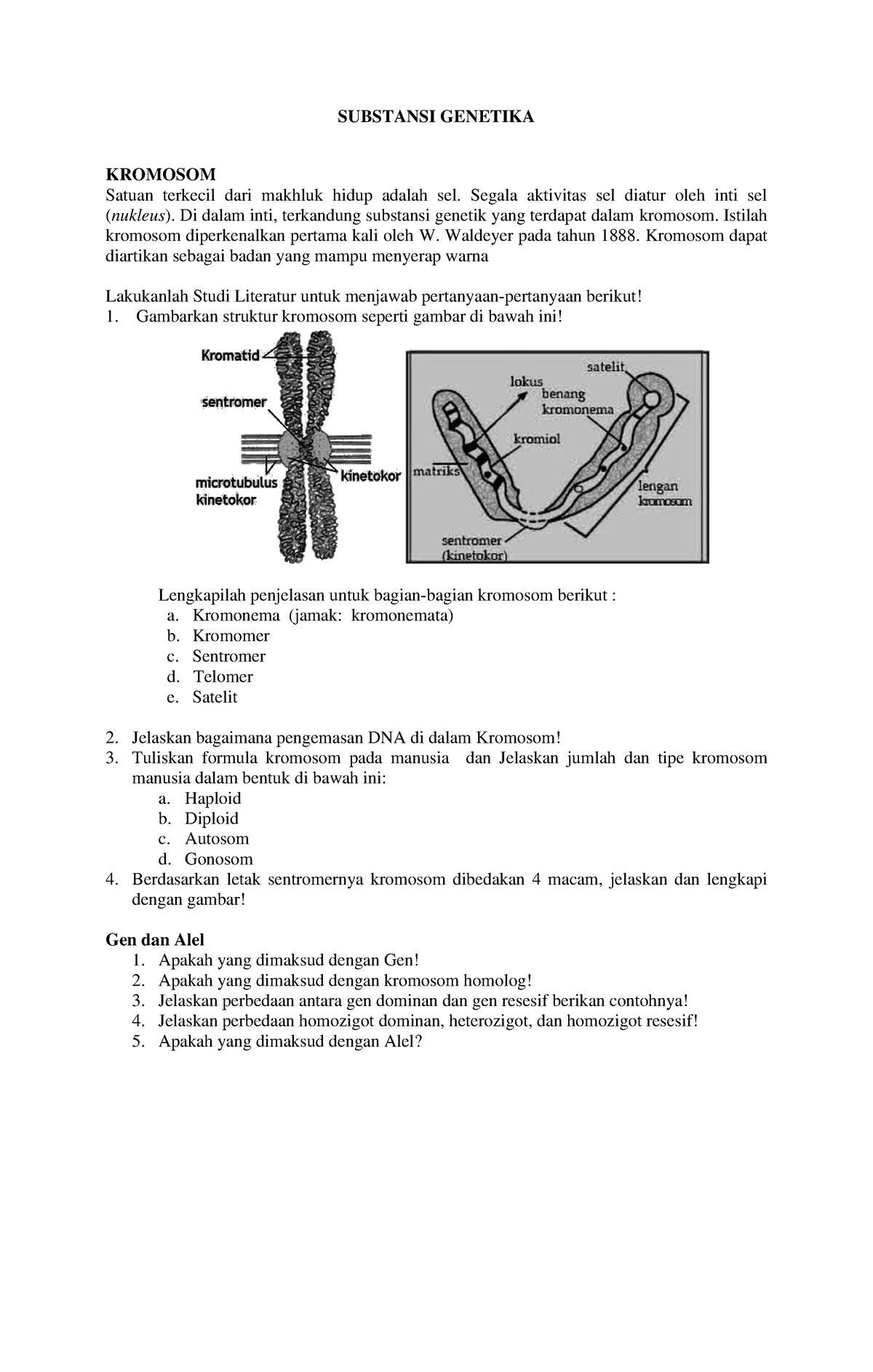 Lks Substansi Genetika - SUBSTANSI GENETIKA KROMOSOM Satuan Terkecil ...