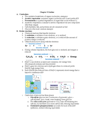 Bio 1201 Lsu Quiz 2 Answers - Quiz 2: 1. What Proteins Penetrate The ...