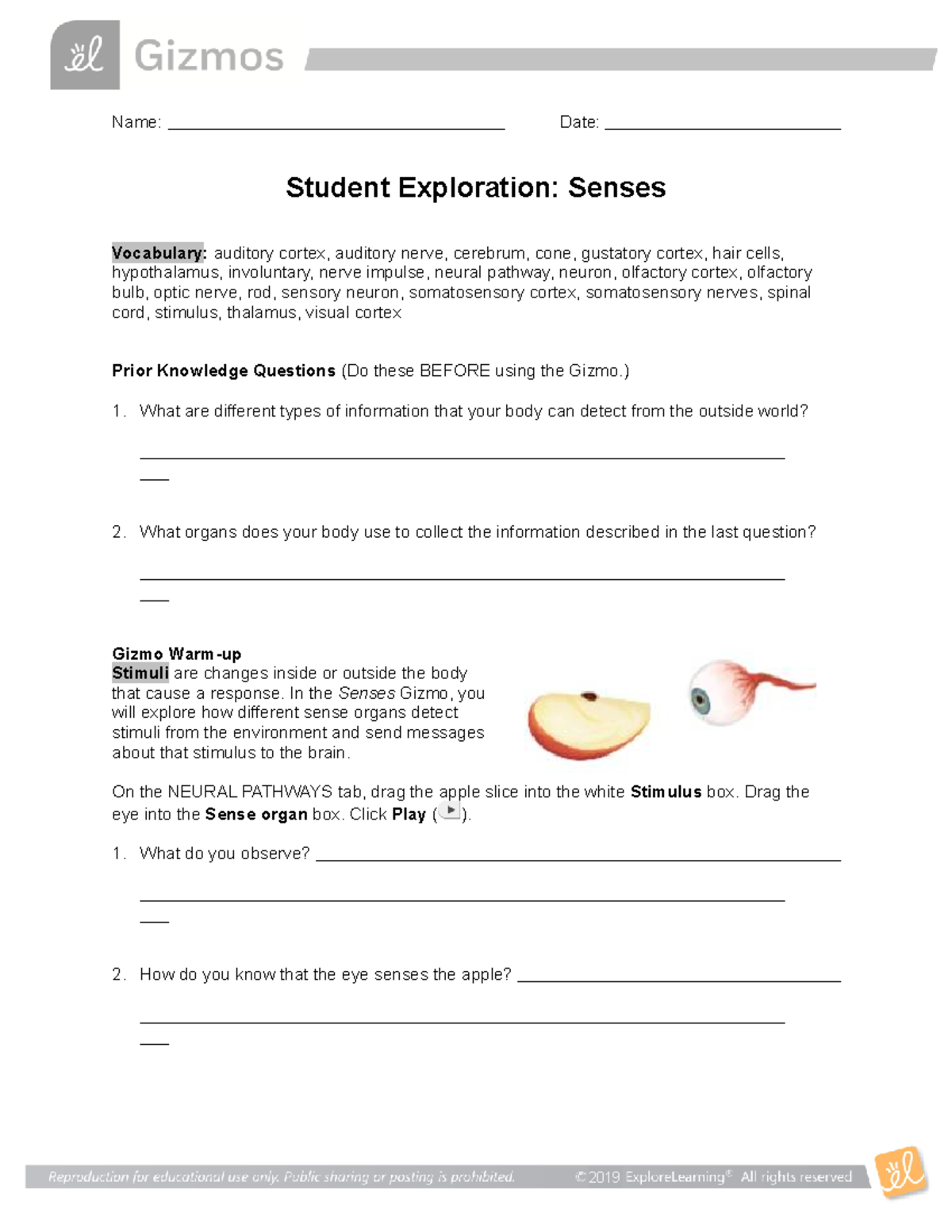 Senses SE - Course work for bio - Name: Date: Student Exploration ...