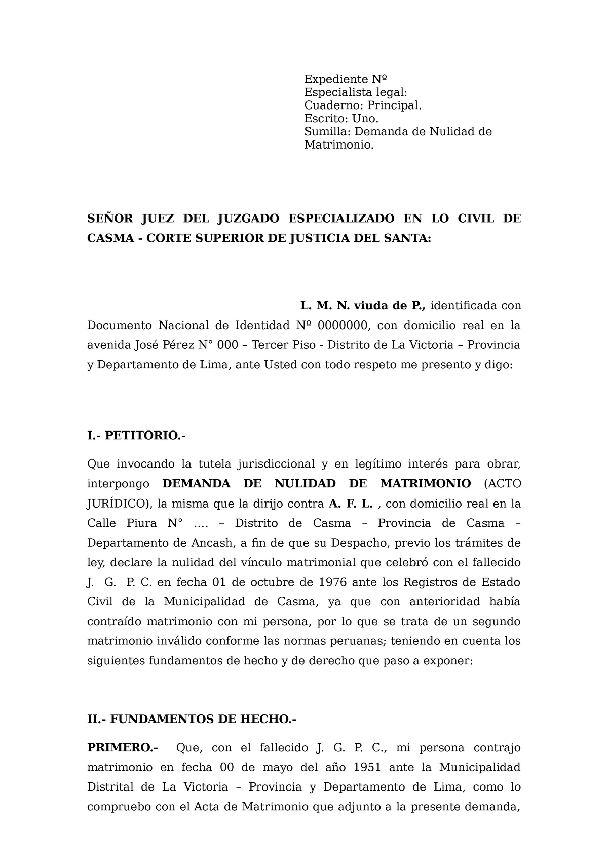 Demanda Nulidad Matrimonio Persona Casada Expediente Nº Especialista Legal Cuaderno 4701