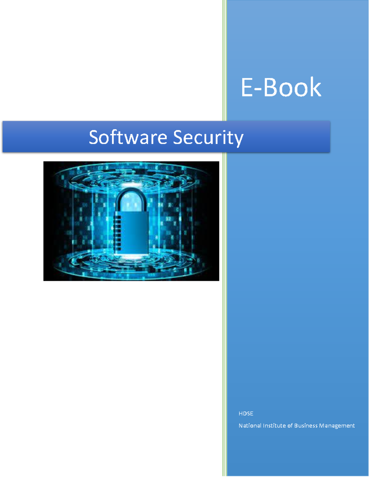 EBook Software Security EBook HDSE National Institute of Business
