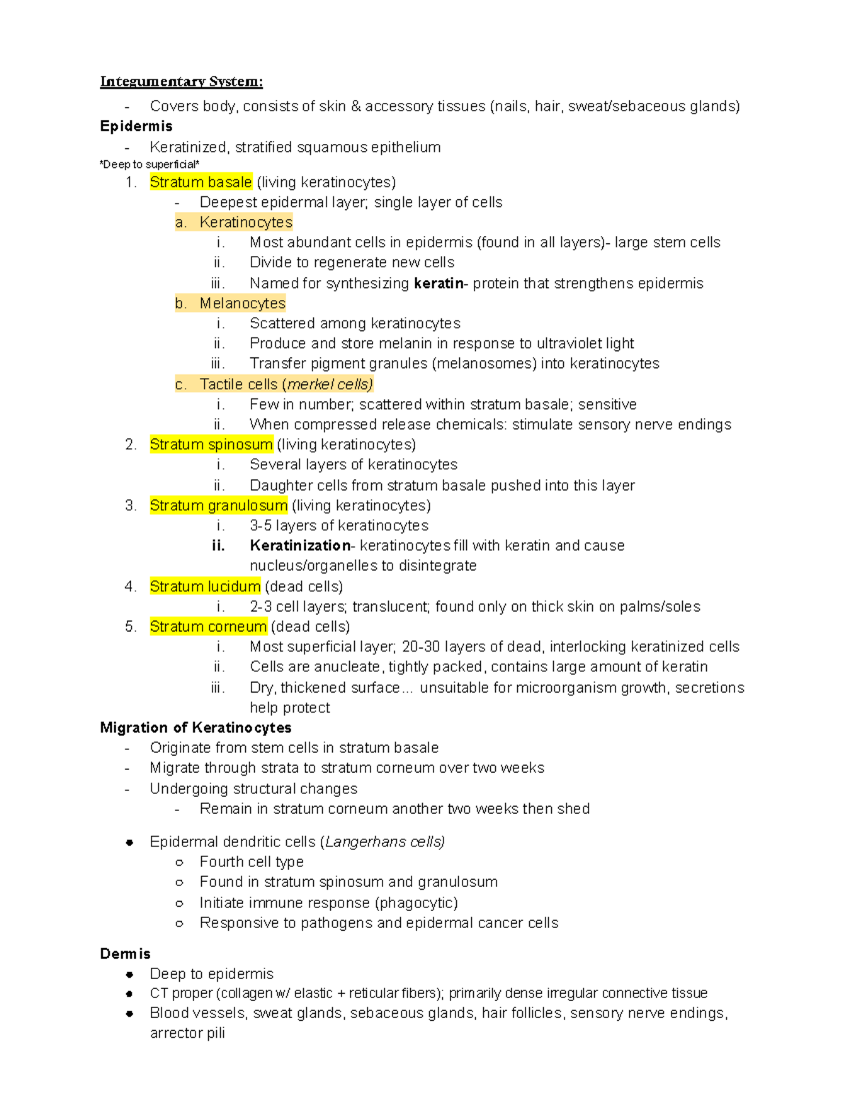 Anatomy lab exam 2 Notes - Integumentary System: Covers body, consists ...