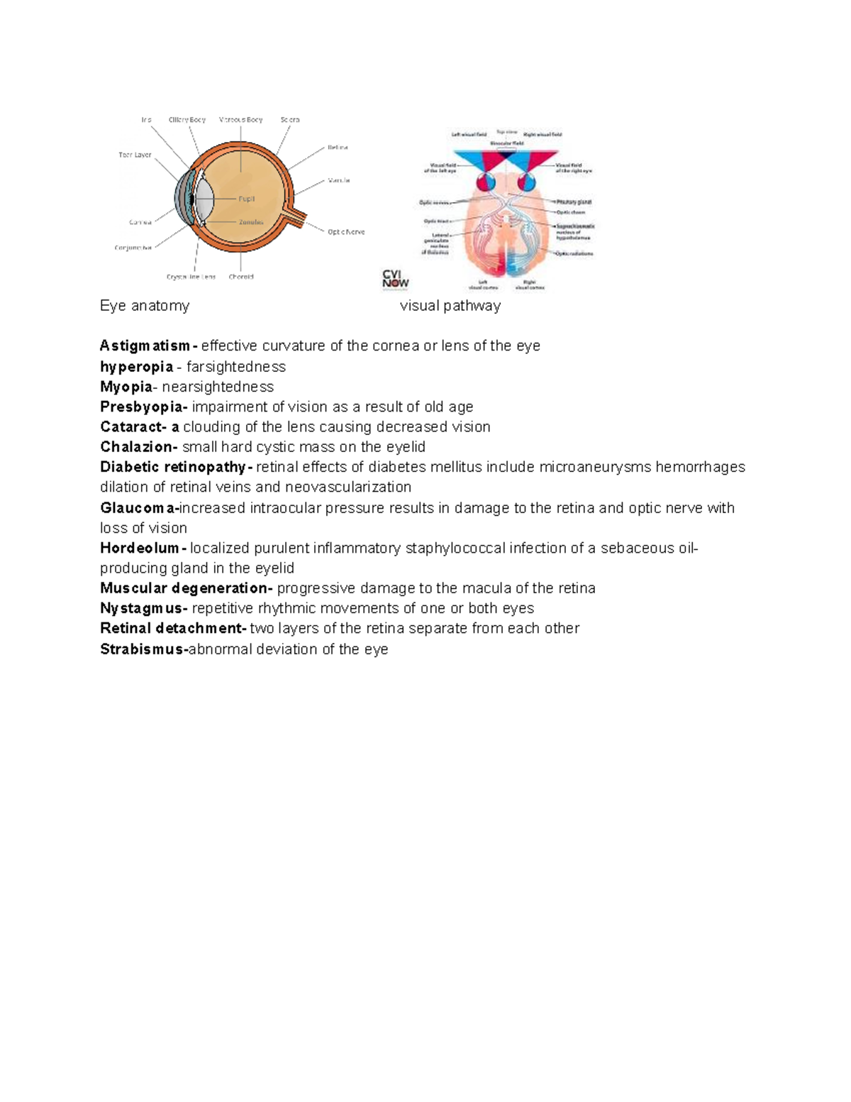 Medical term Chapter 17 EYE Eye anatomy visual pathway Astigmatism effective curvature of