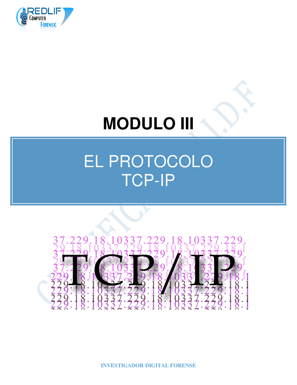 09 Protocolo Tcpip Por Si Le Sirve Modulo Iii El Protocolo Tcp Ip IntroducciÓn La 7943