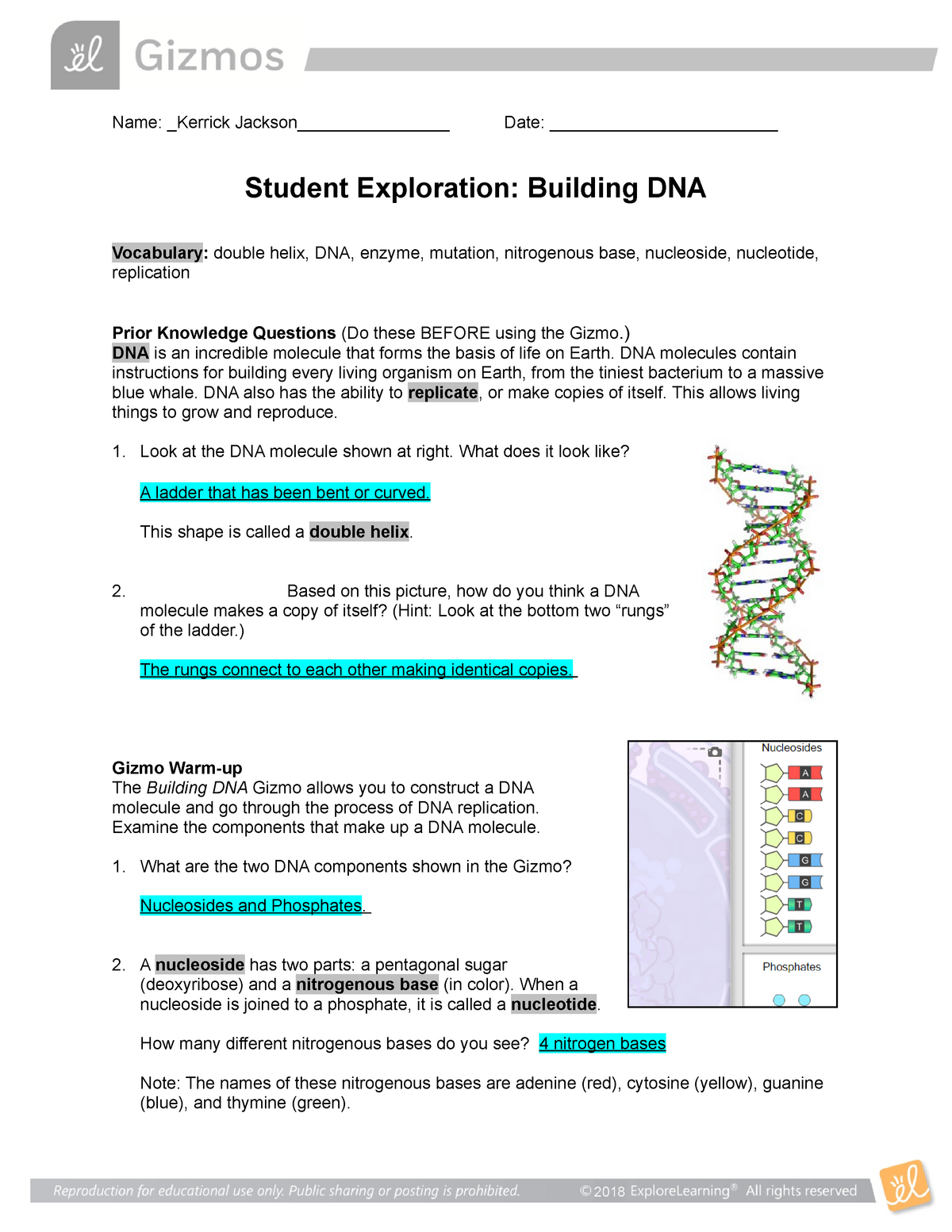 Gizmo Building Dna Answer : 2 : Student exploration ...