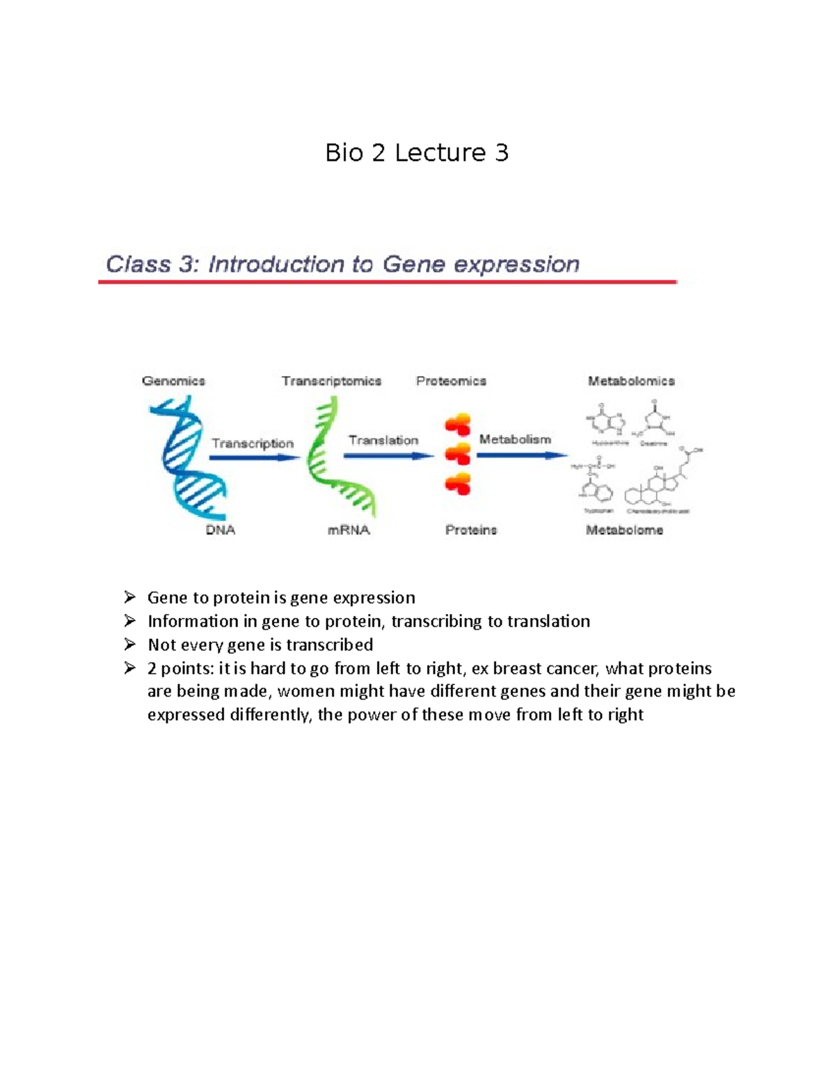 Bio 2 Lecture 3 - Notes - Bio 2 Lecture 3 Gene To Protein Is Gene ...