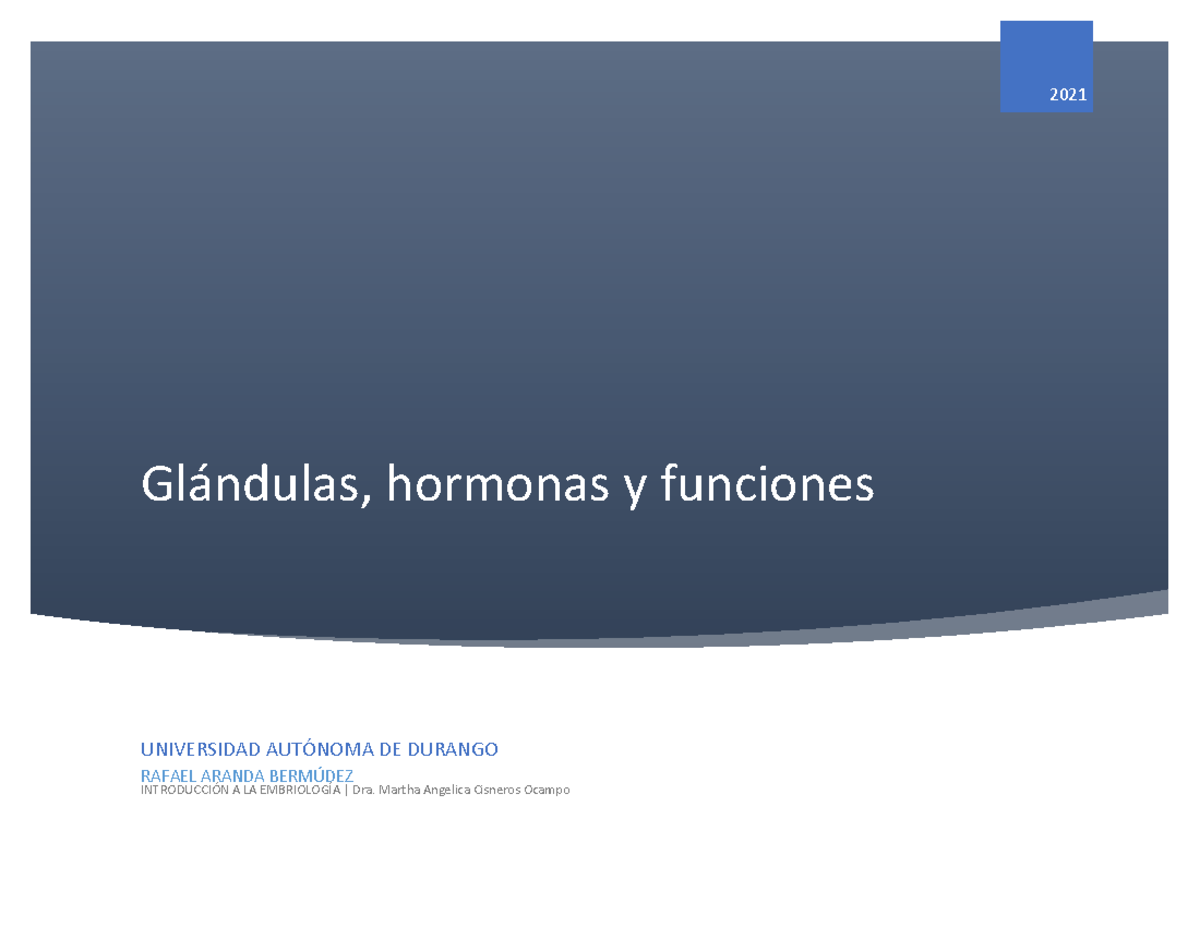 Glandulas Y Hormonas Glndulas Hormonas Y Funciones Universidad Autnoma De Durango