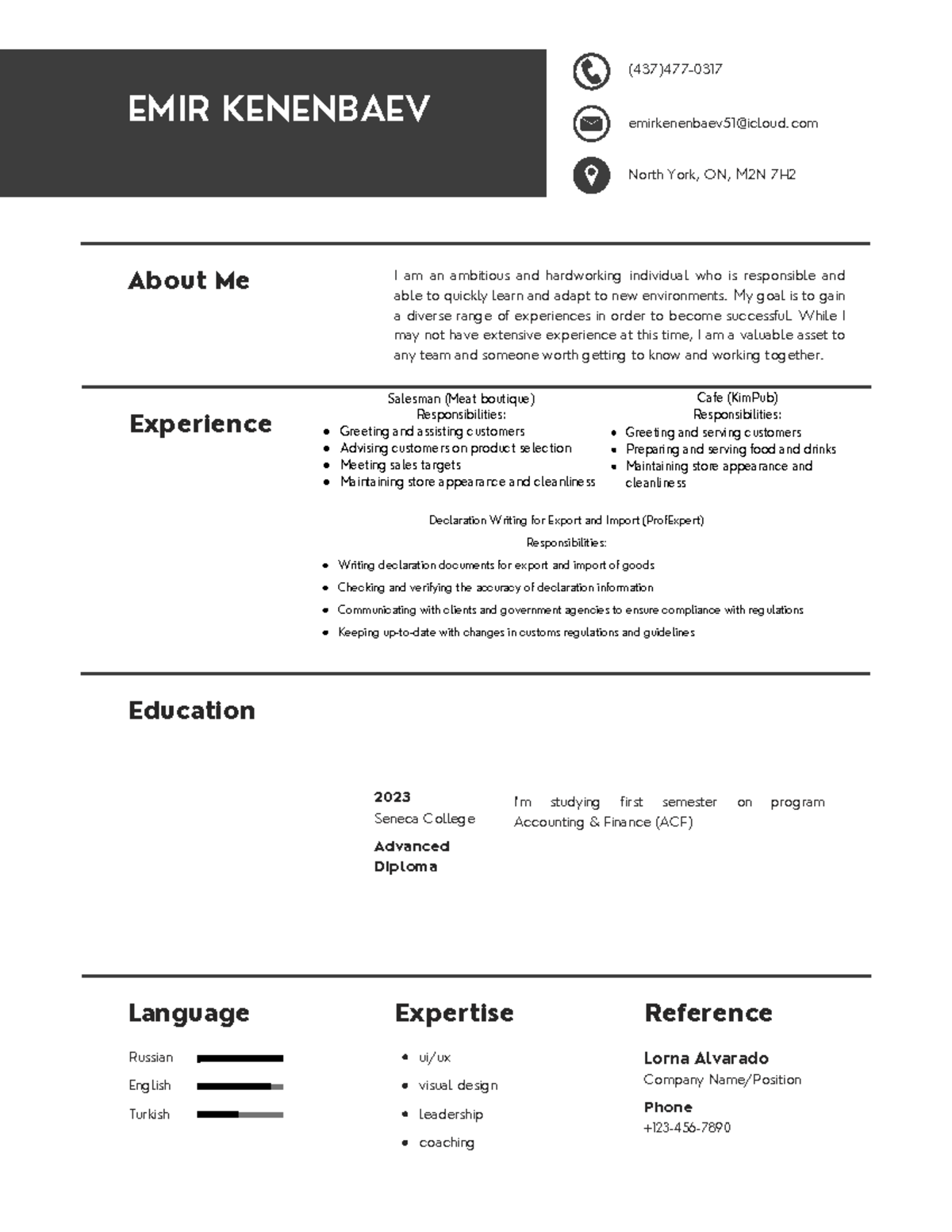 Abu Abu Minimalist Resume EMIR - Thumb 1200 1553 