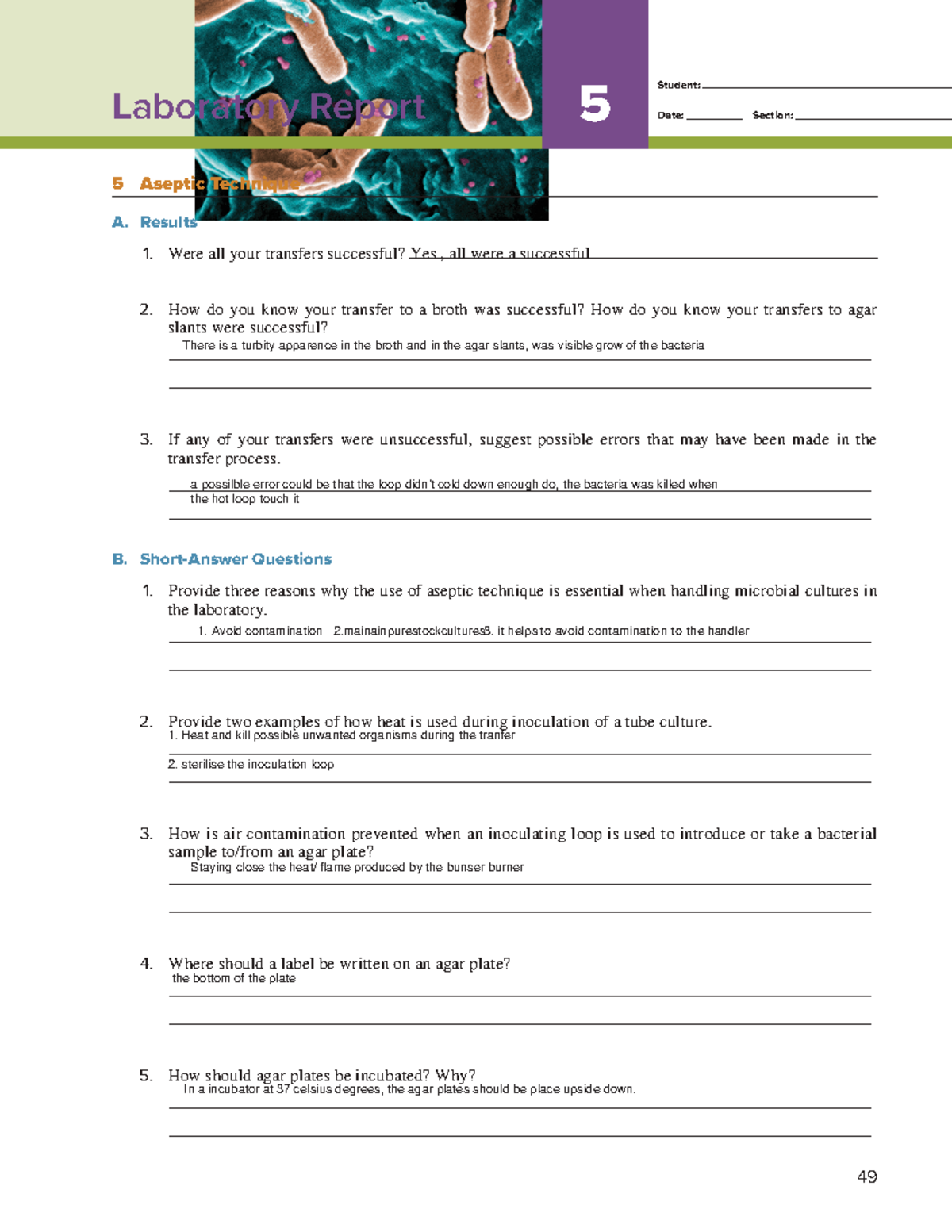 Exercise 05 Lab Report Student Date Section 49 Laboratory Report 5