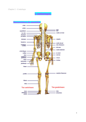 Annale Anatomie STAPS 2016 - Ec1 : Anatomie - UPPA - Studocu