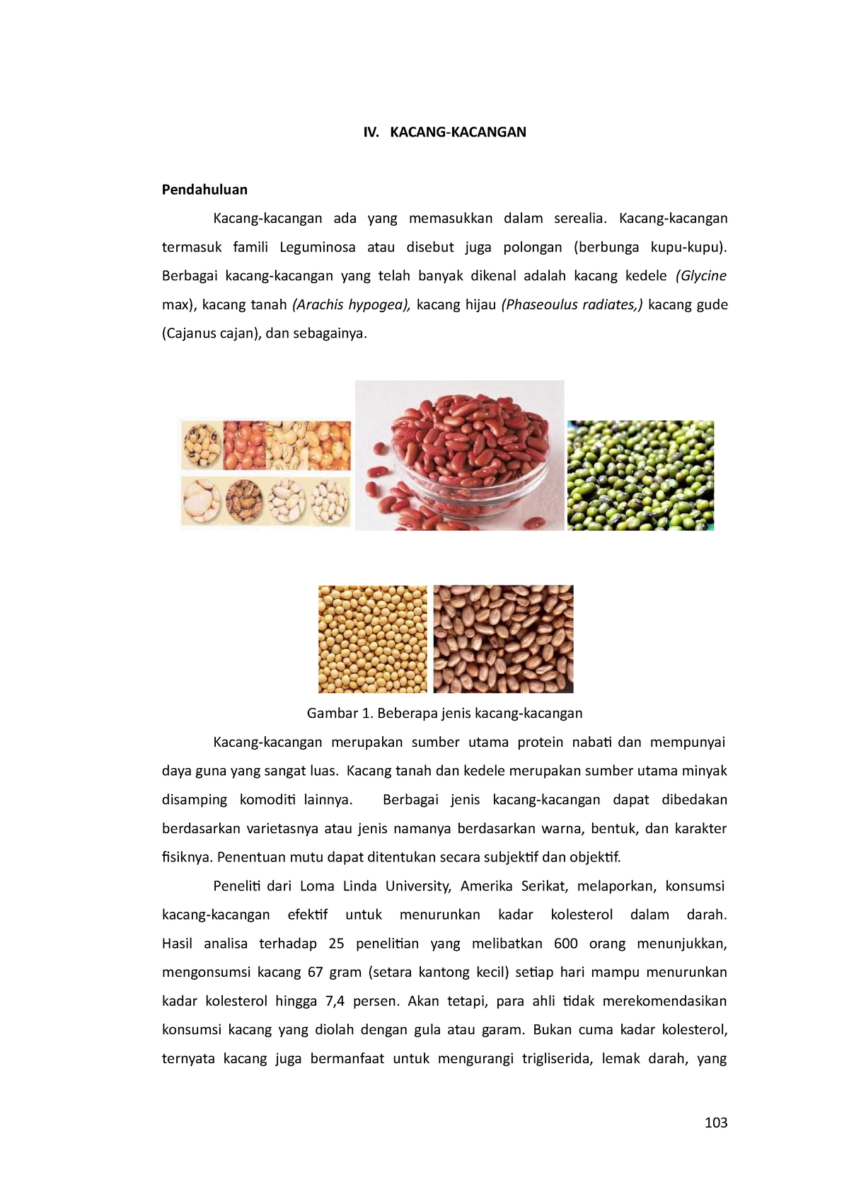 4. Kacang-kacangan - Horticulture Kacang - IV. KACANG-KACANGAN ...