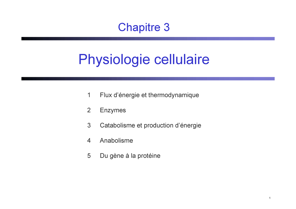 3 Physiologie Cellulaire - .. Stockage : Energie Chimique (sucres ...