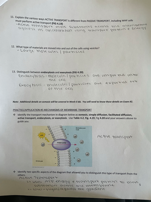 Pg3 - Week 3 - BIOL 1020 - Studocu