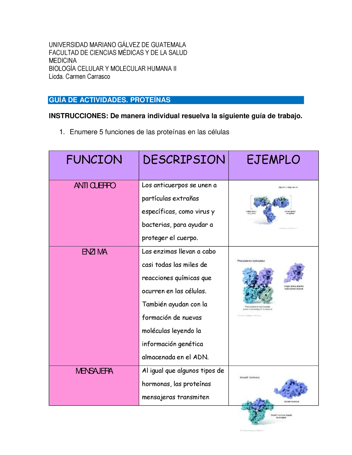 GUÍA DE Actividades Proteinas 2022 - UNIVERSIDAD MARIANO G¡LVEZ DE ...