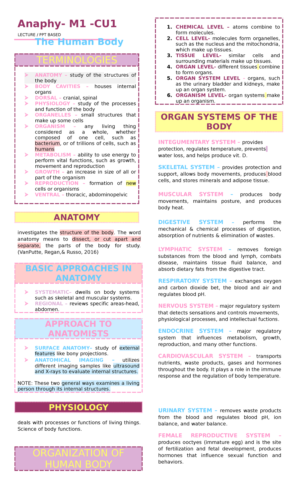 Anaphy- Reviewer - GL - Anaphy- M1 -CU The Human Body TERMINOLOGIES ...