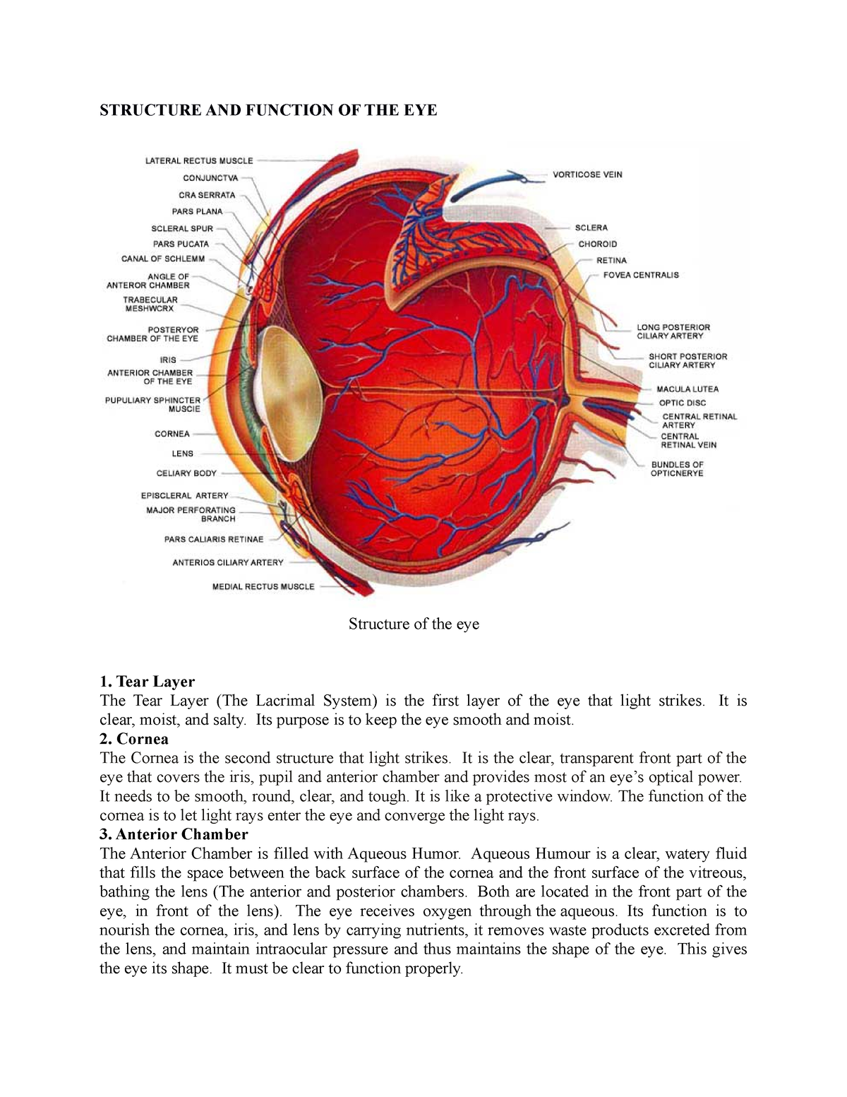 sense-organ-notes-structure-and-function-of-the-eye-structure-of-the