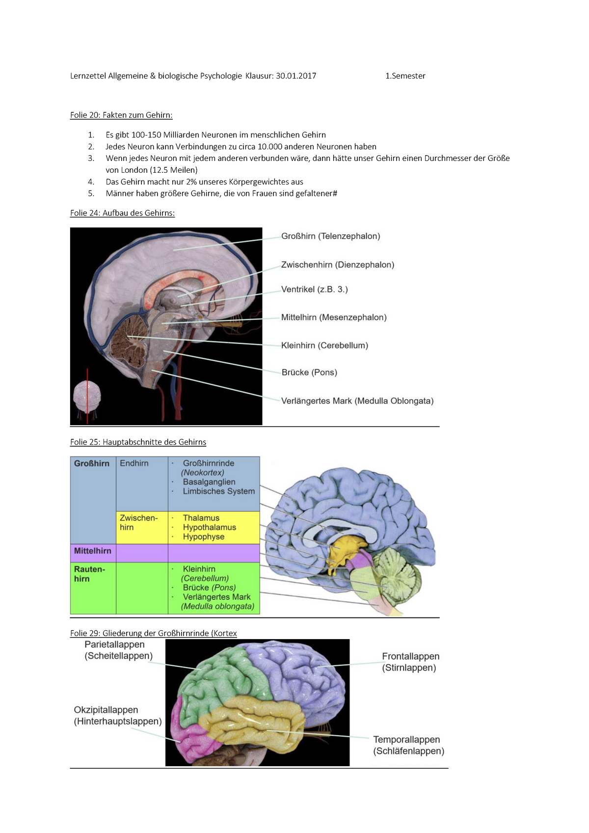 Lernzettel Allgemeine & Biologische Psychologie - 01 1 Folie 20: Fakten ...