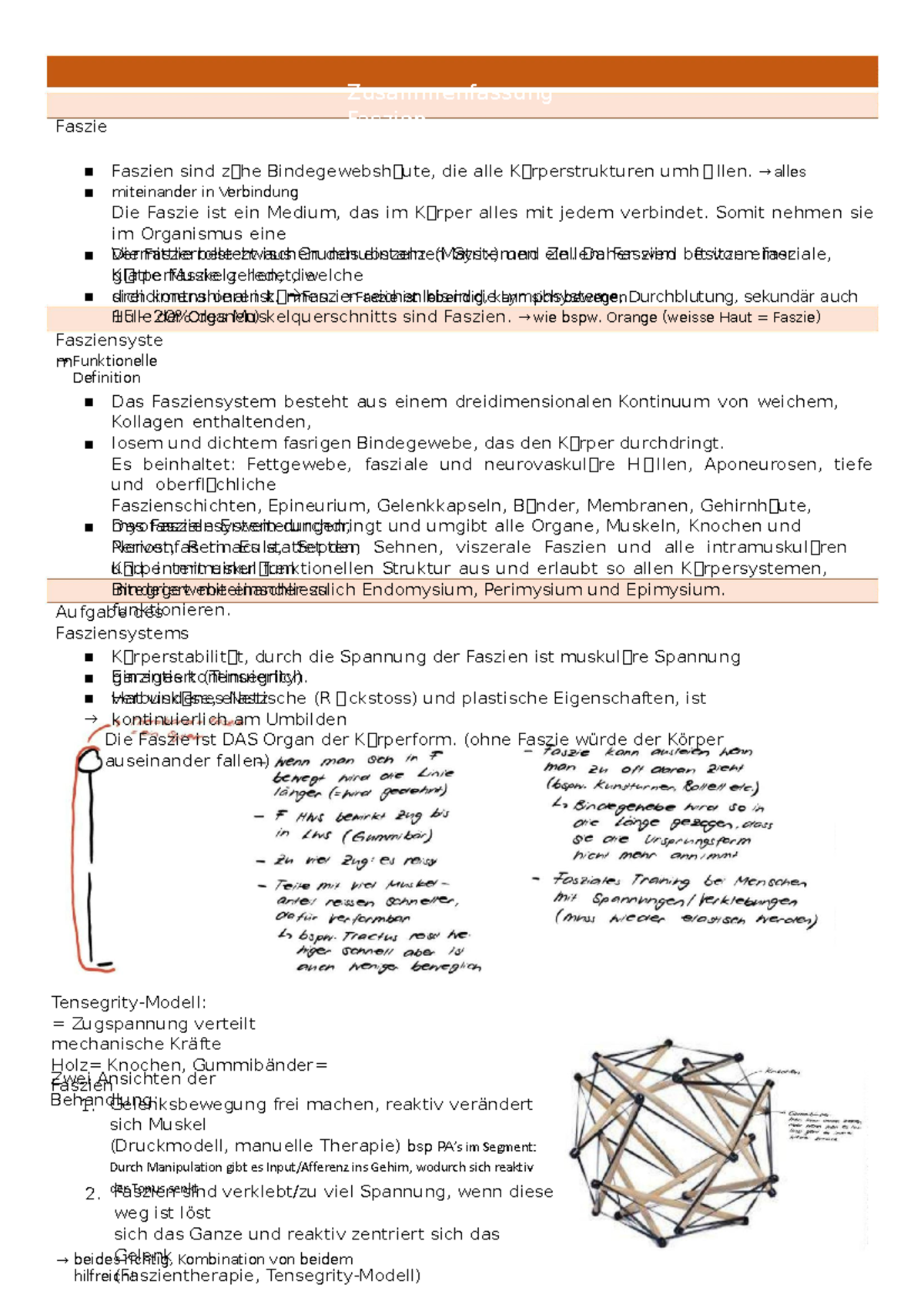 Faszien Zusammenfassung - Zusammenfassung Faszie Faszien Faszien sind z ...