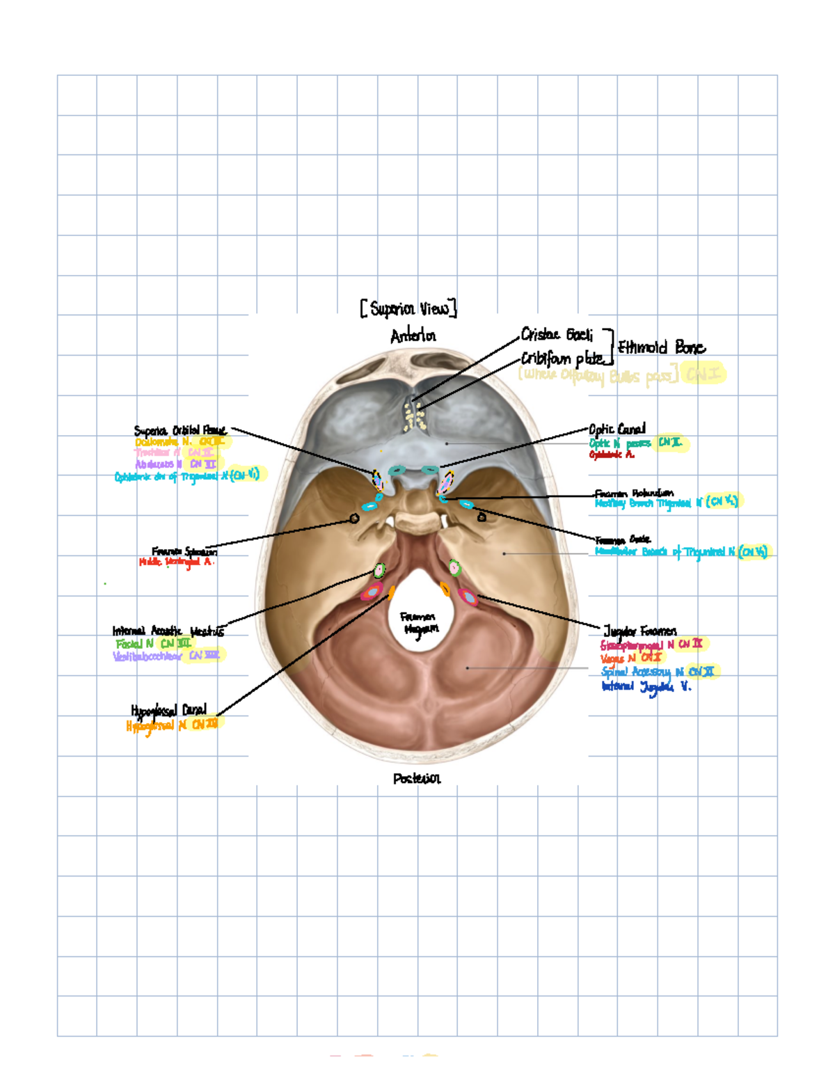 Fzps/Dr High Yield Neurology.Html - 2wr7rst