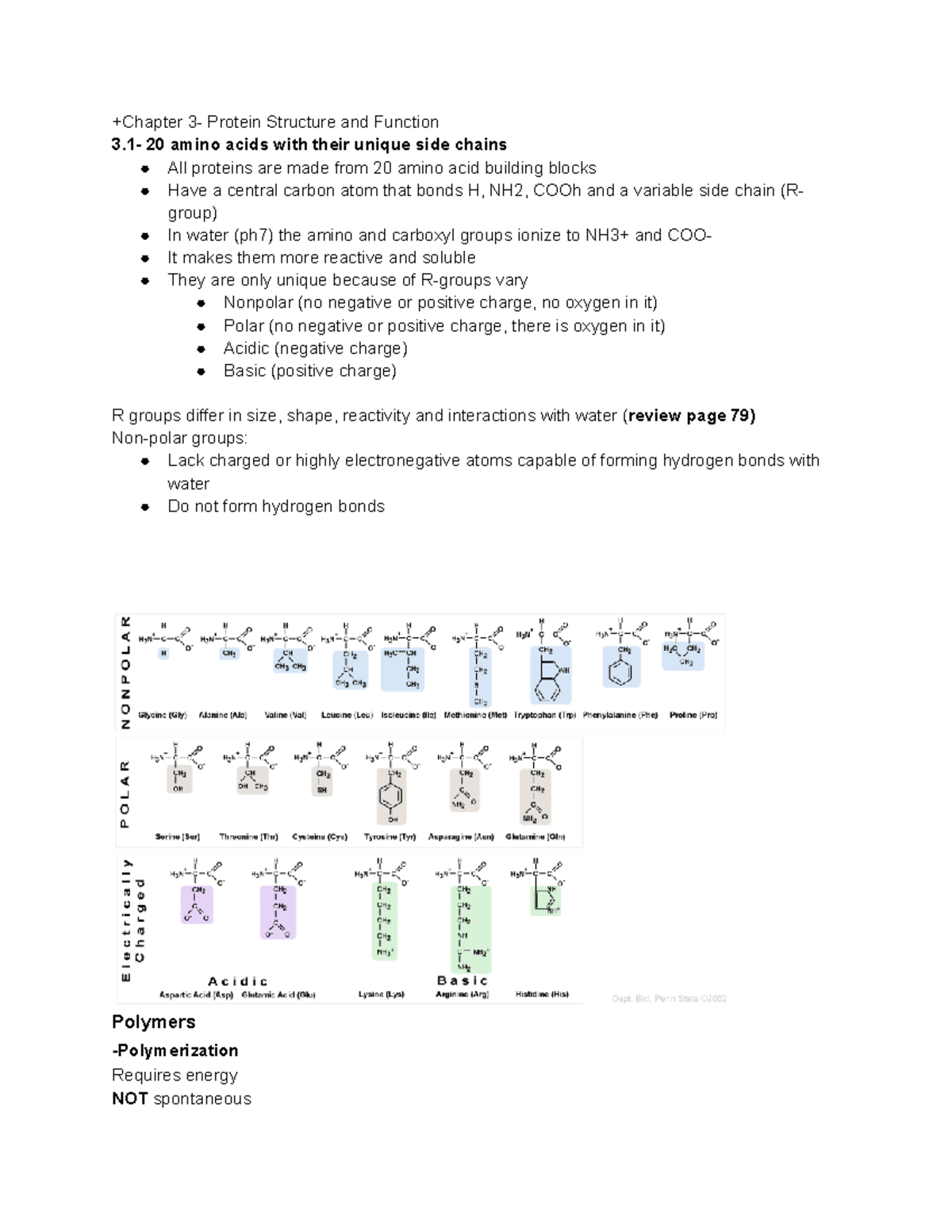 Chapter 3 - Lecture notes 3 - +Chapter 3- Protein Structure and ...