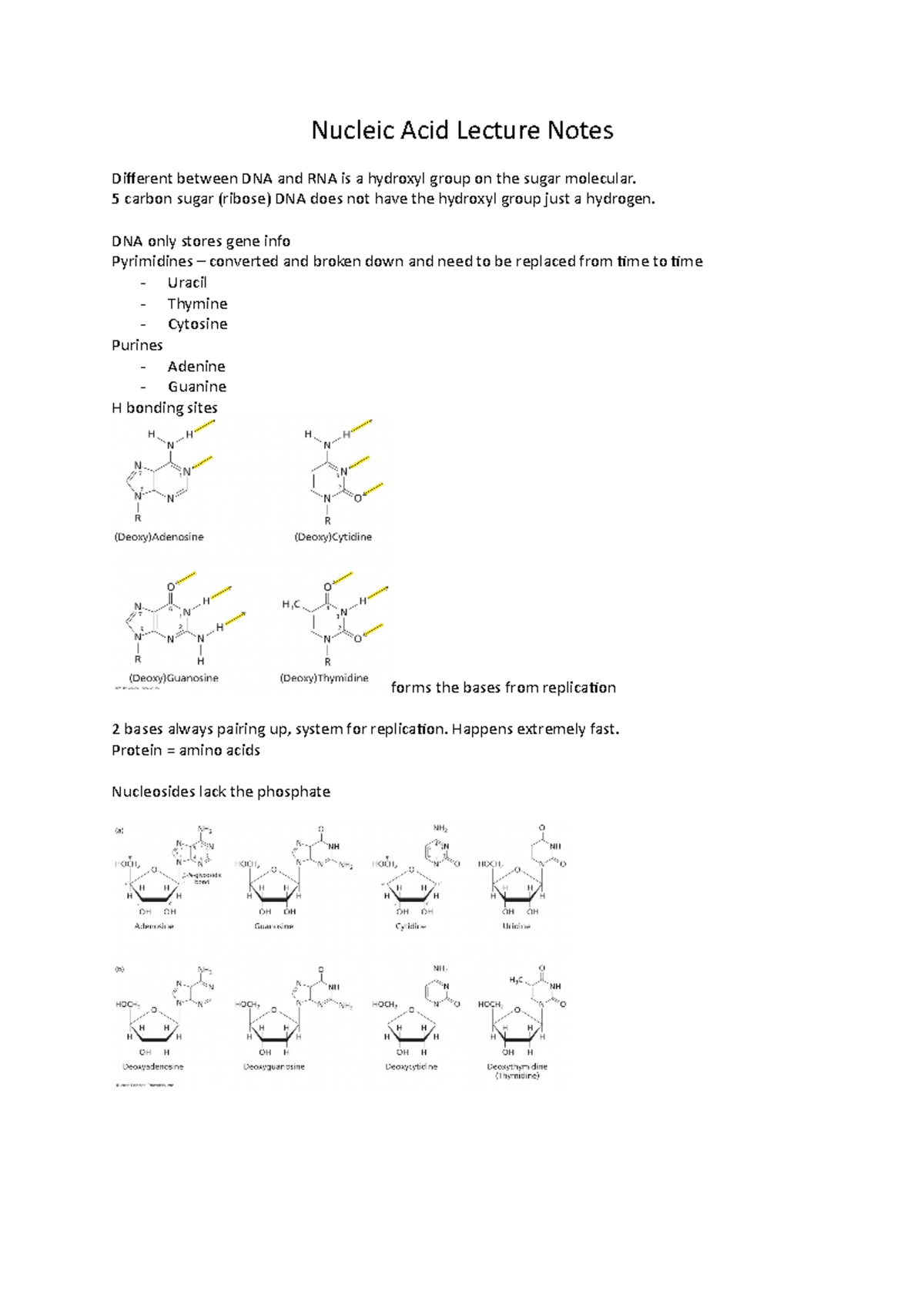 Nucleic Acid Lecture Notes Nucleic Acid Lecture Notes Different
