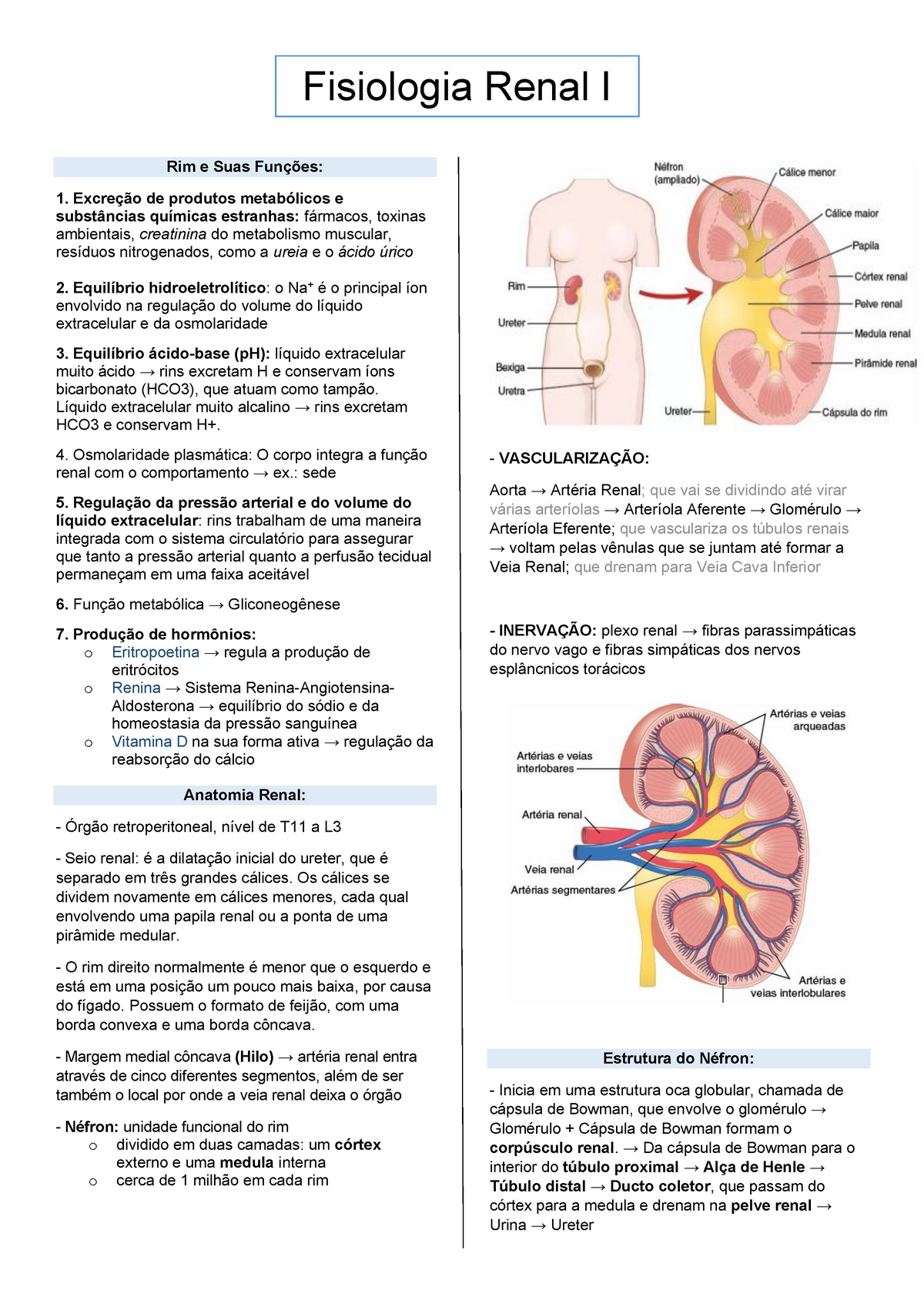 Fisiologia Renal I Resumo Baseado Em Anotações De Aula Materiais De Apoio Da Internet 7709