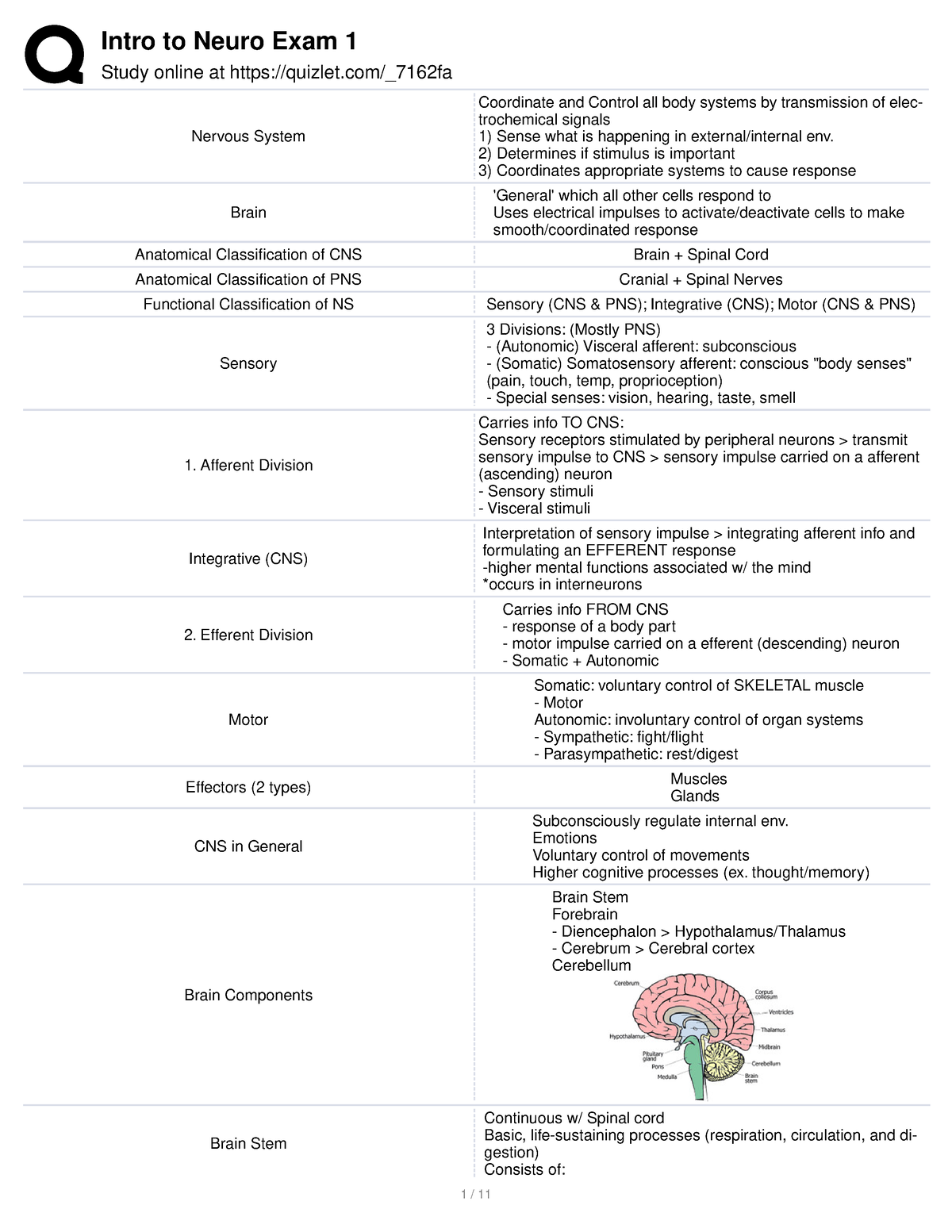 BIO 140 The Nervous System II SG (AND BRAIN) Flashcards