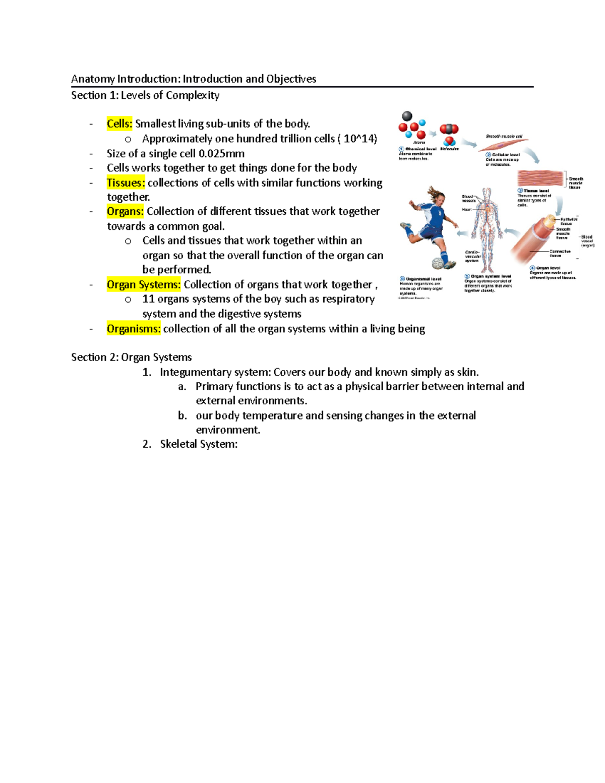 Anatomy Introduction - Class Notes - Anatomy Introduction: Introduction ...