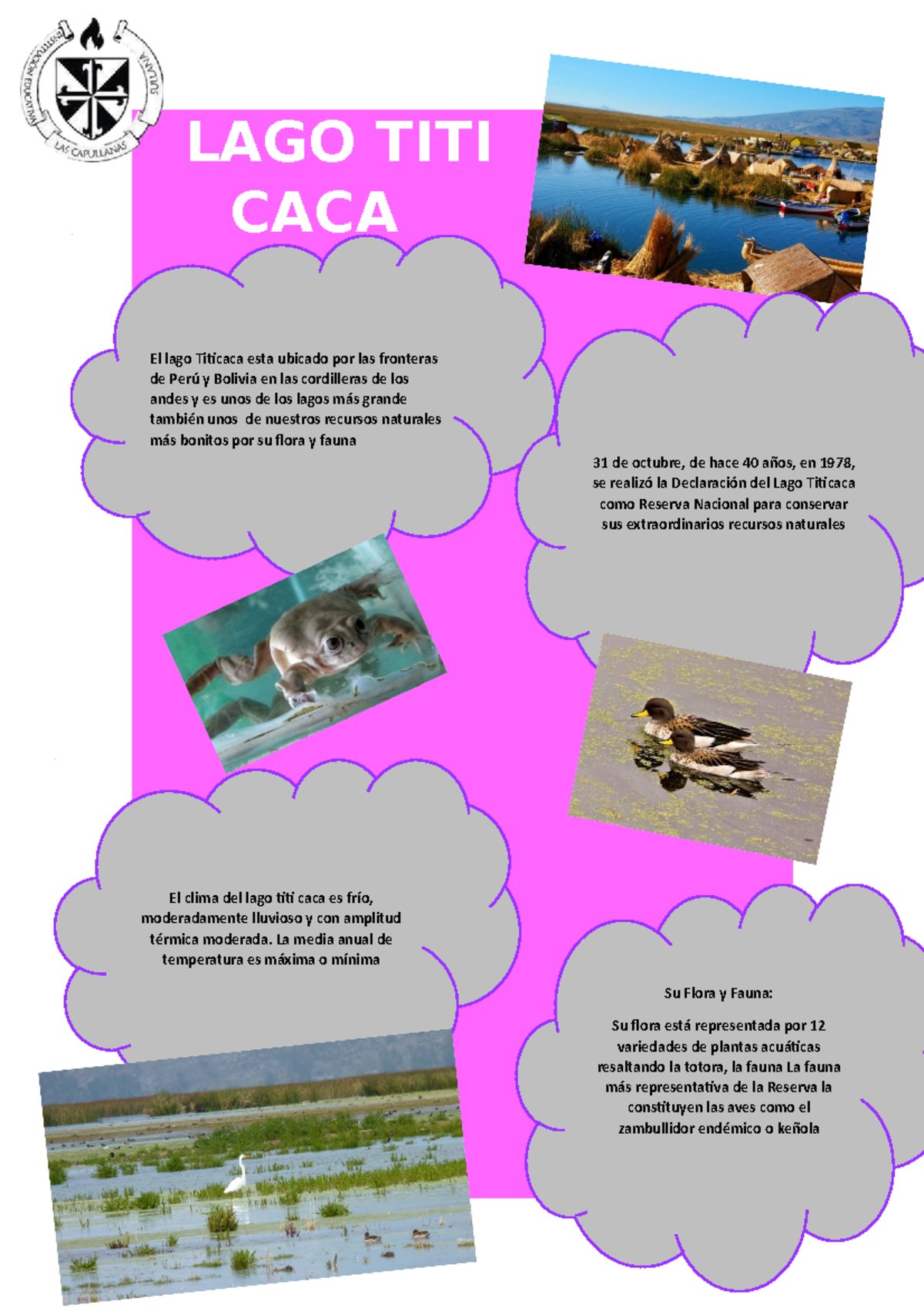 LAGO TITI CACA info clara atencion sobre ella - LAGO TITI CACA El lago ...
