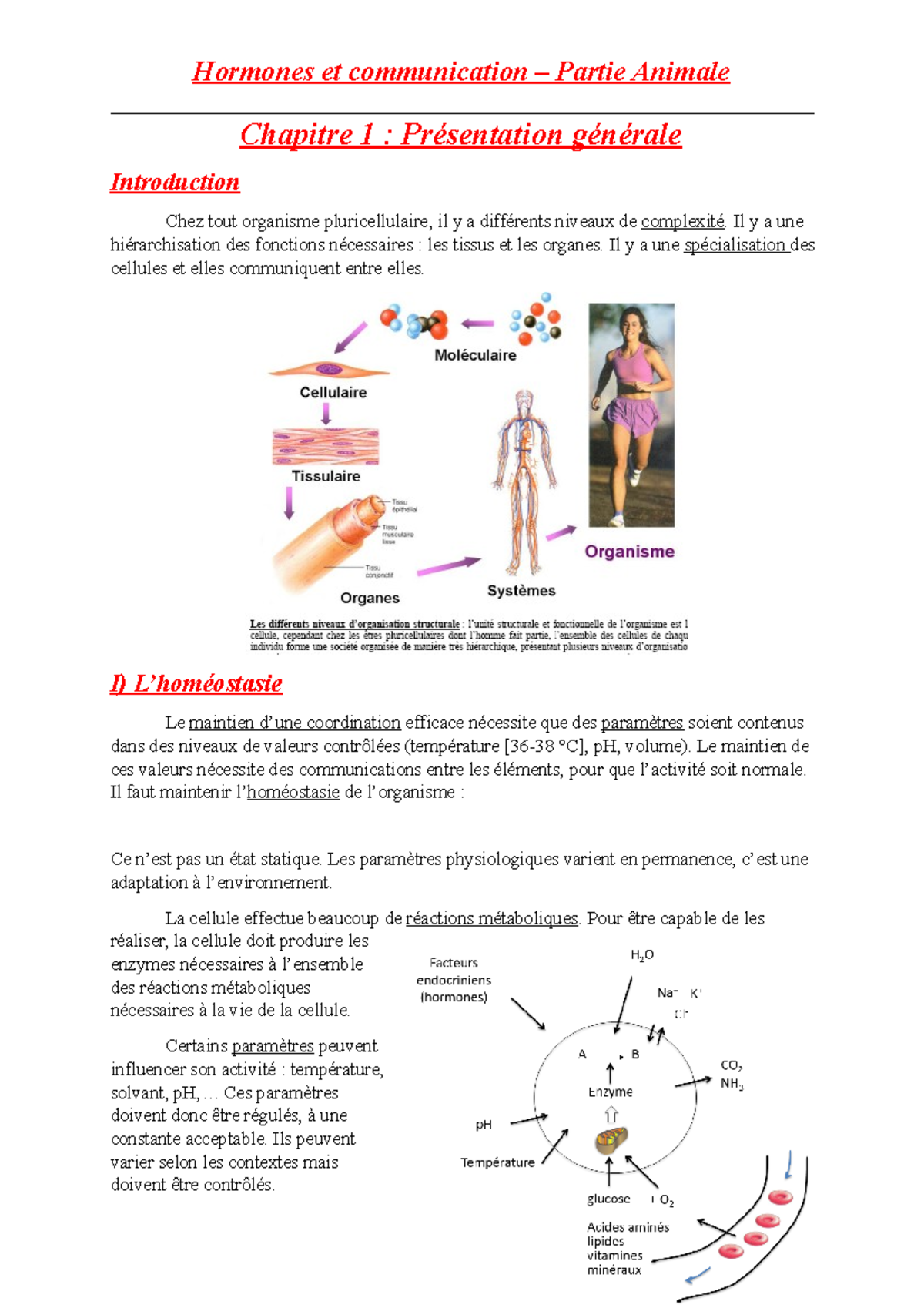 Hormone et communication Chapitre 1 - Hormones et communication ...