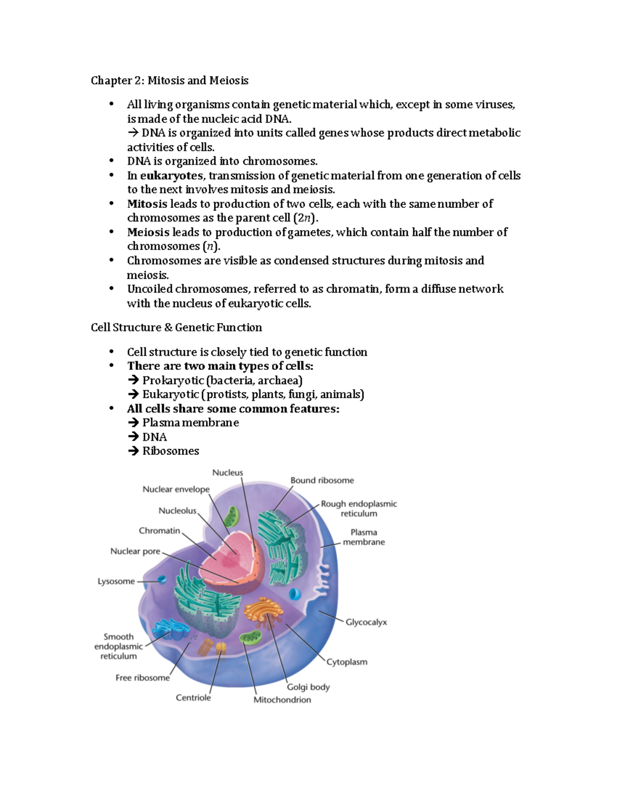Chapter 2 - Lecture notes 2 - Chapter 2: Mitosis and Meiosis All living ...