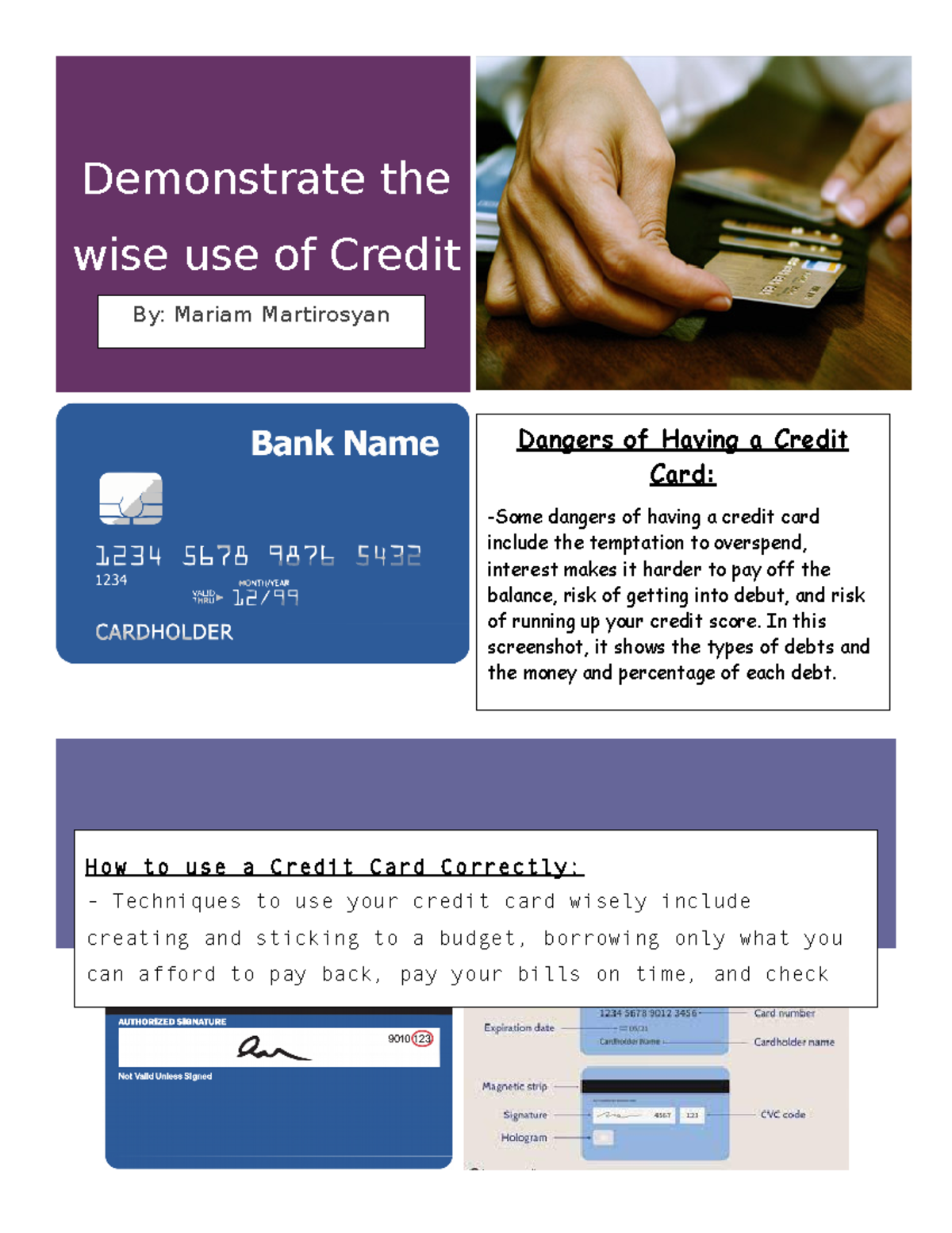 Wealth man. brochure Demonstrate the wise use of Credit By Mariam