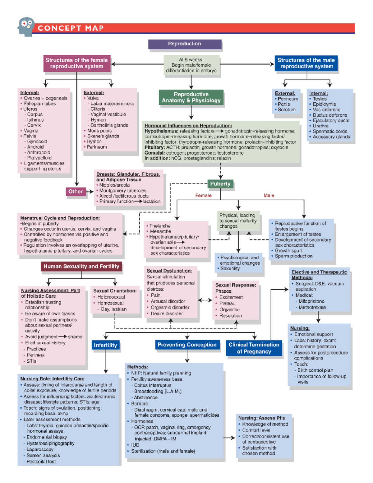 Chapter 2 Concept Map - NUR 230 - Studocu