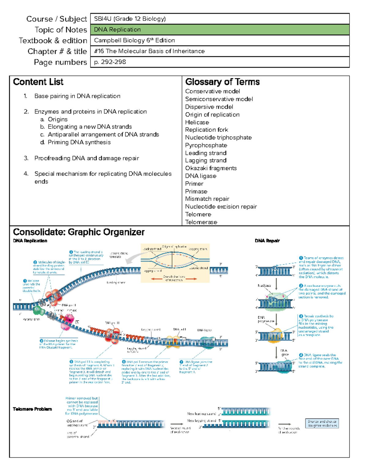 02 U2 - Molecular Genetics Notes - Course / Subject SBI4U (Grade 12 ...