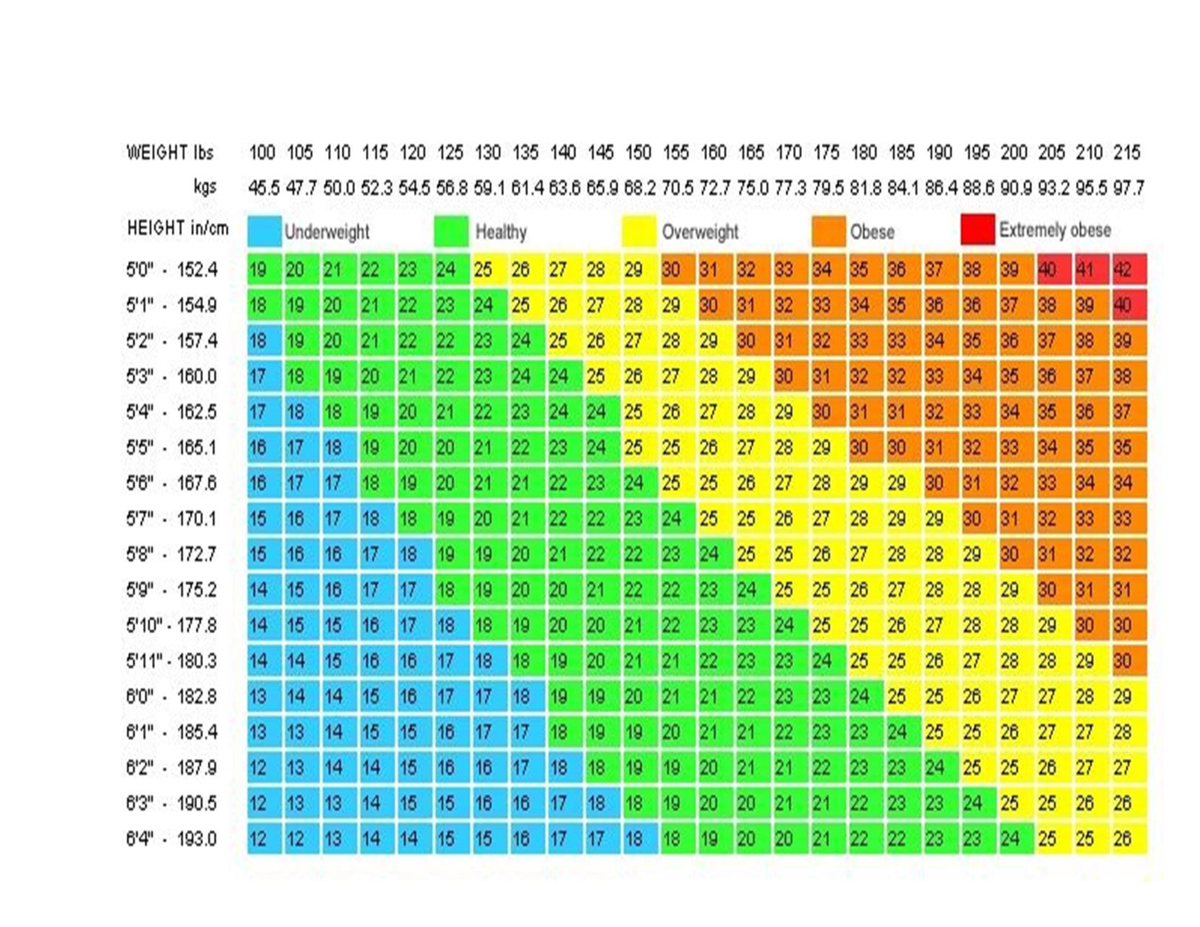 Bmi Chart 2 - Introductory - Studocu