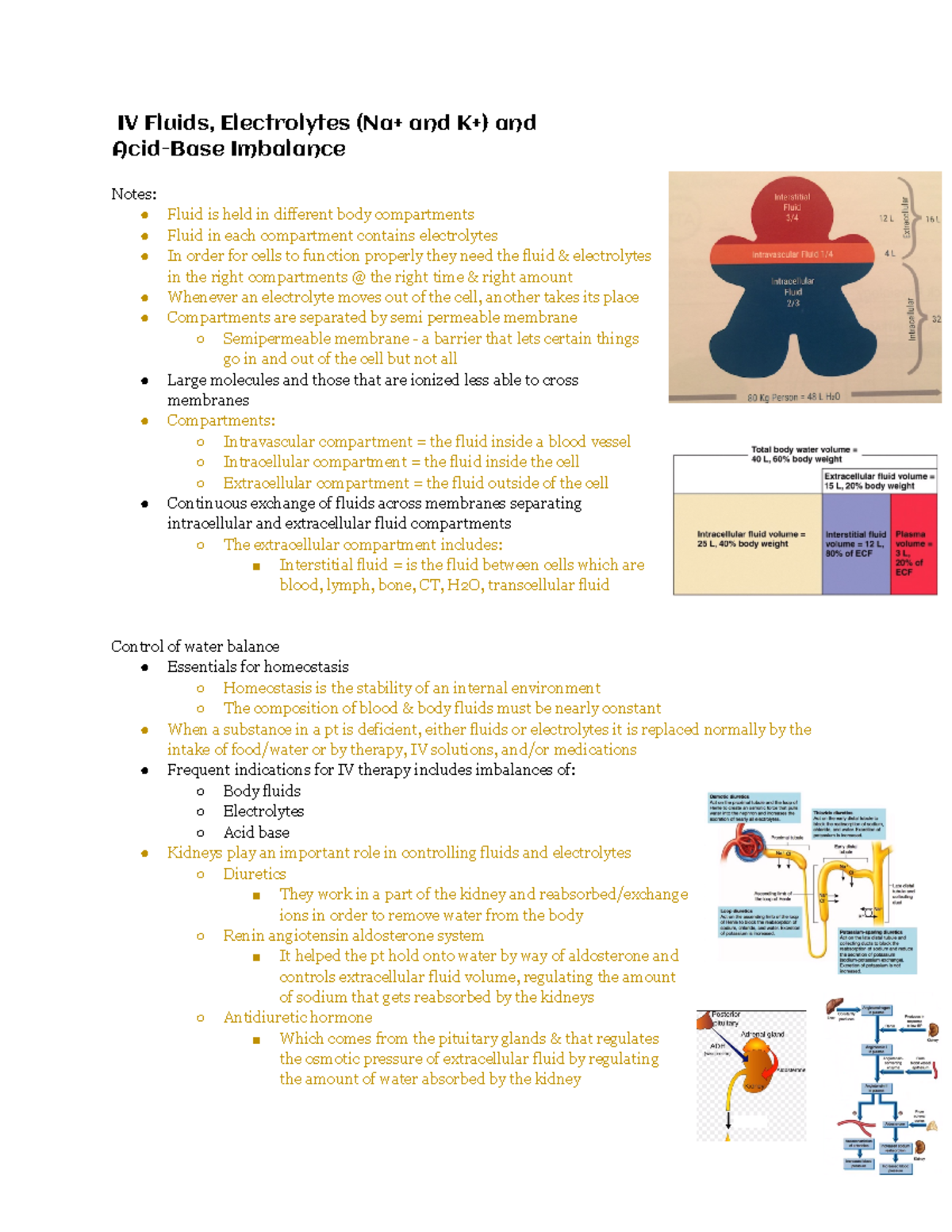 IV Fluids, Electrolytes (Na+ and K+), and AcidBase Imbalance IV