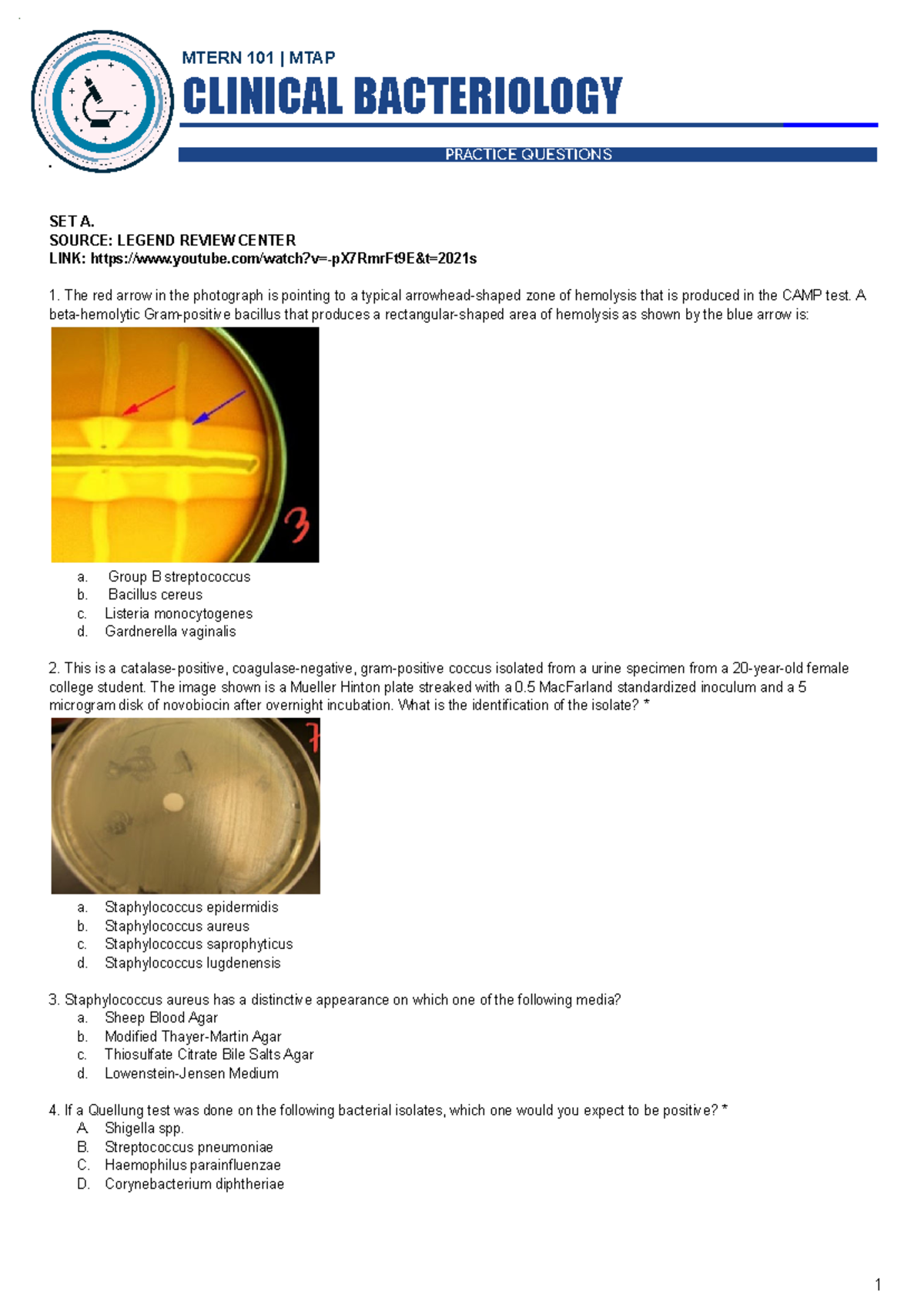 Bacteriology practice questions MTERN 101 MTAP CLINICAL