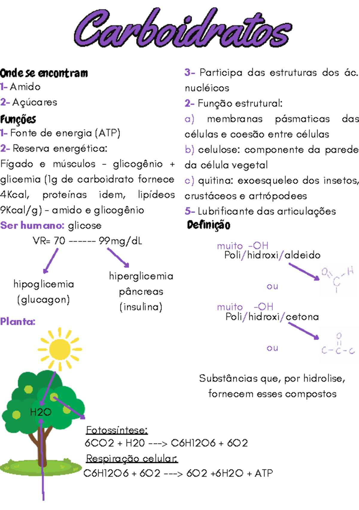 Aula de Carboidratos - Funções 1- Fonte de energia (ATP) 2- Reserva ...