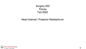 Superior Mediastium - Prof. Whitmore - Surgery 203 Thorax Fall 2022 ...