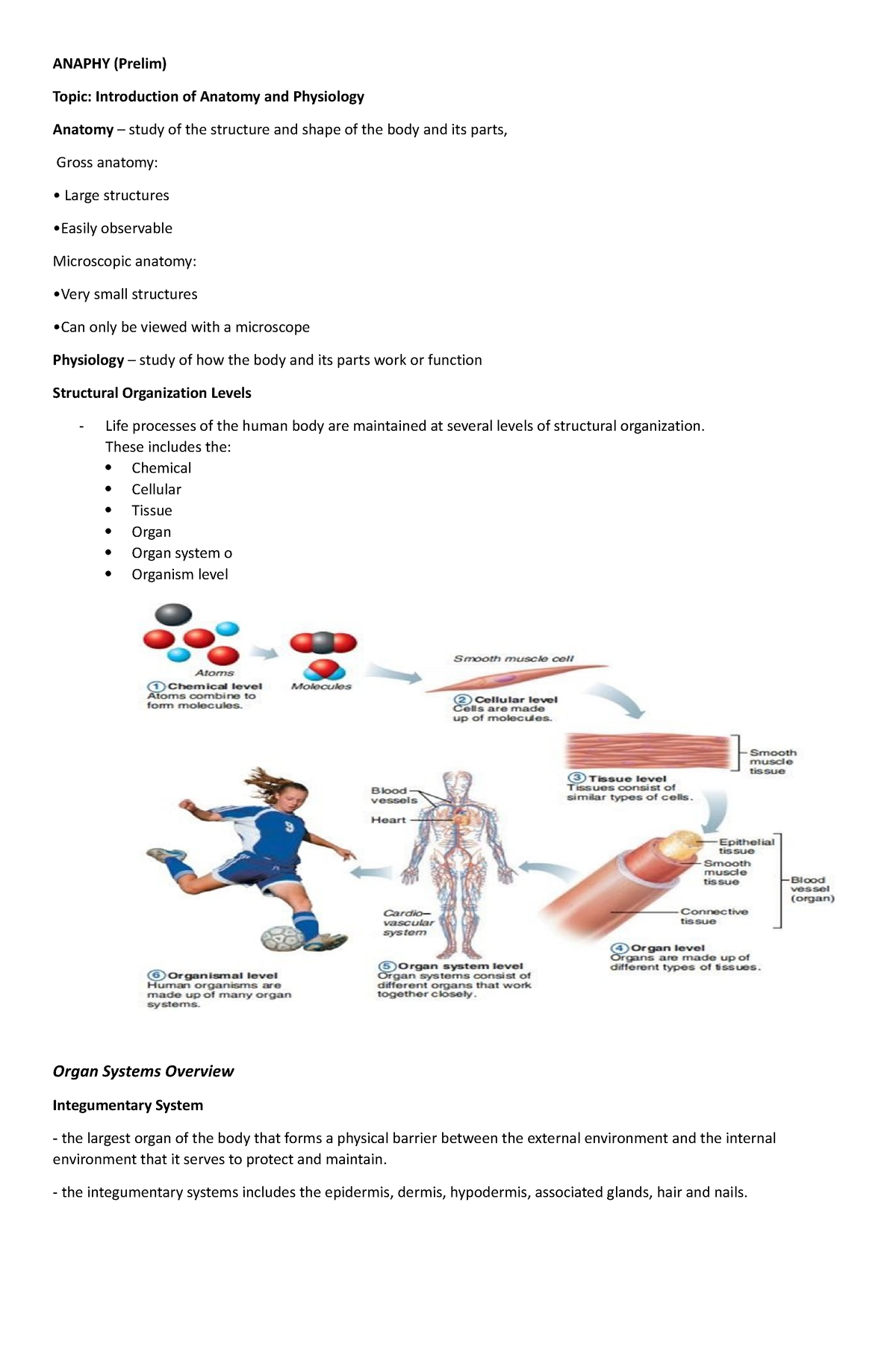 Review Topic 1 Anaphy - ANAPHY (Prelim) Topic: Introduction Of Anatomy ...