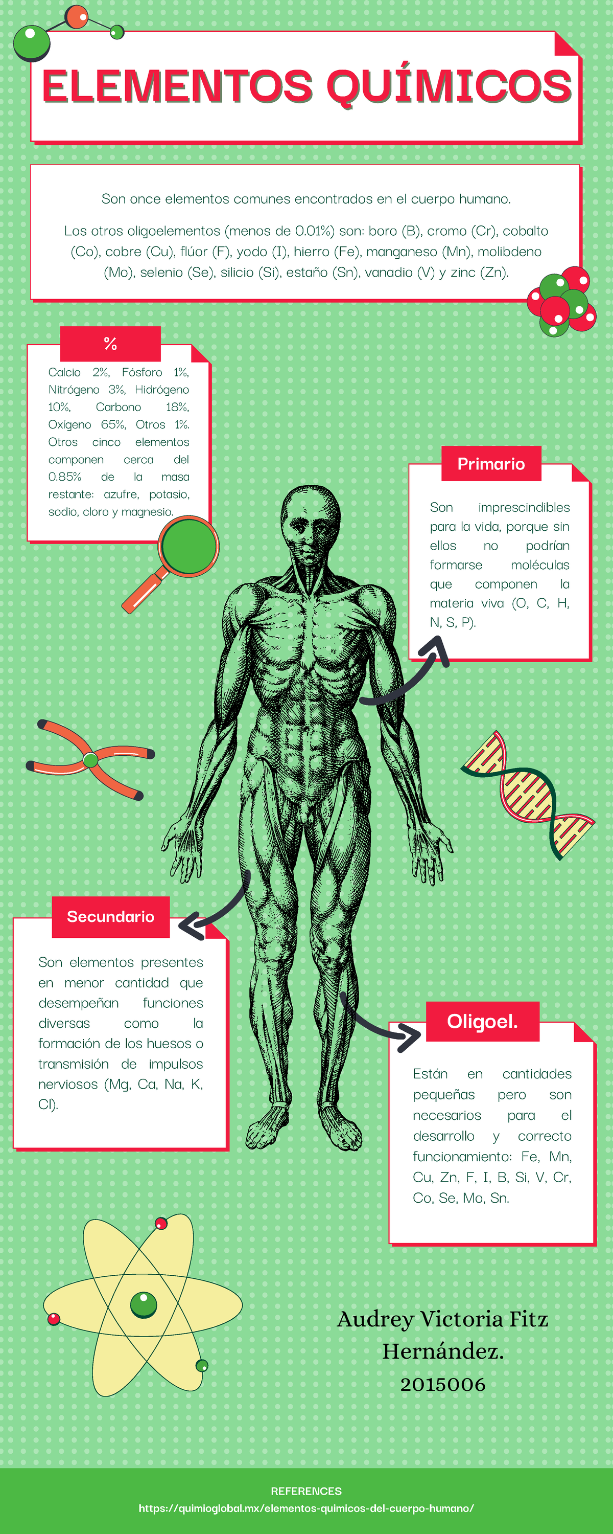 Elementos Químicos Que Constituyen El Cuerpo Humano Infografías Son Imprescindibles Para La