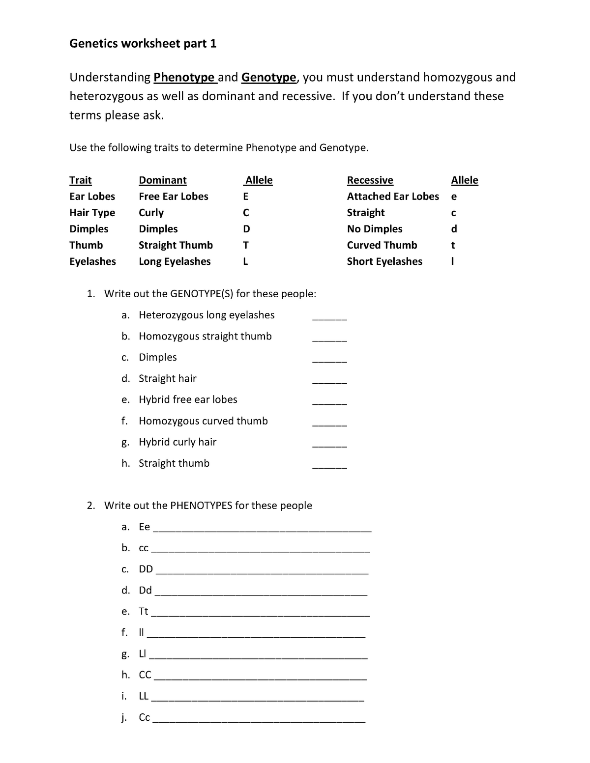 Genotype and Phenotype Worksheet - Stat for biology - Stat 10 Pertaining To Genotypes And Phenotypes Worksheet